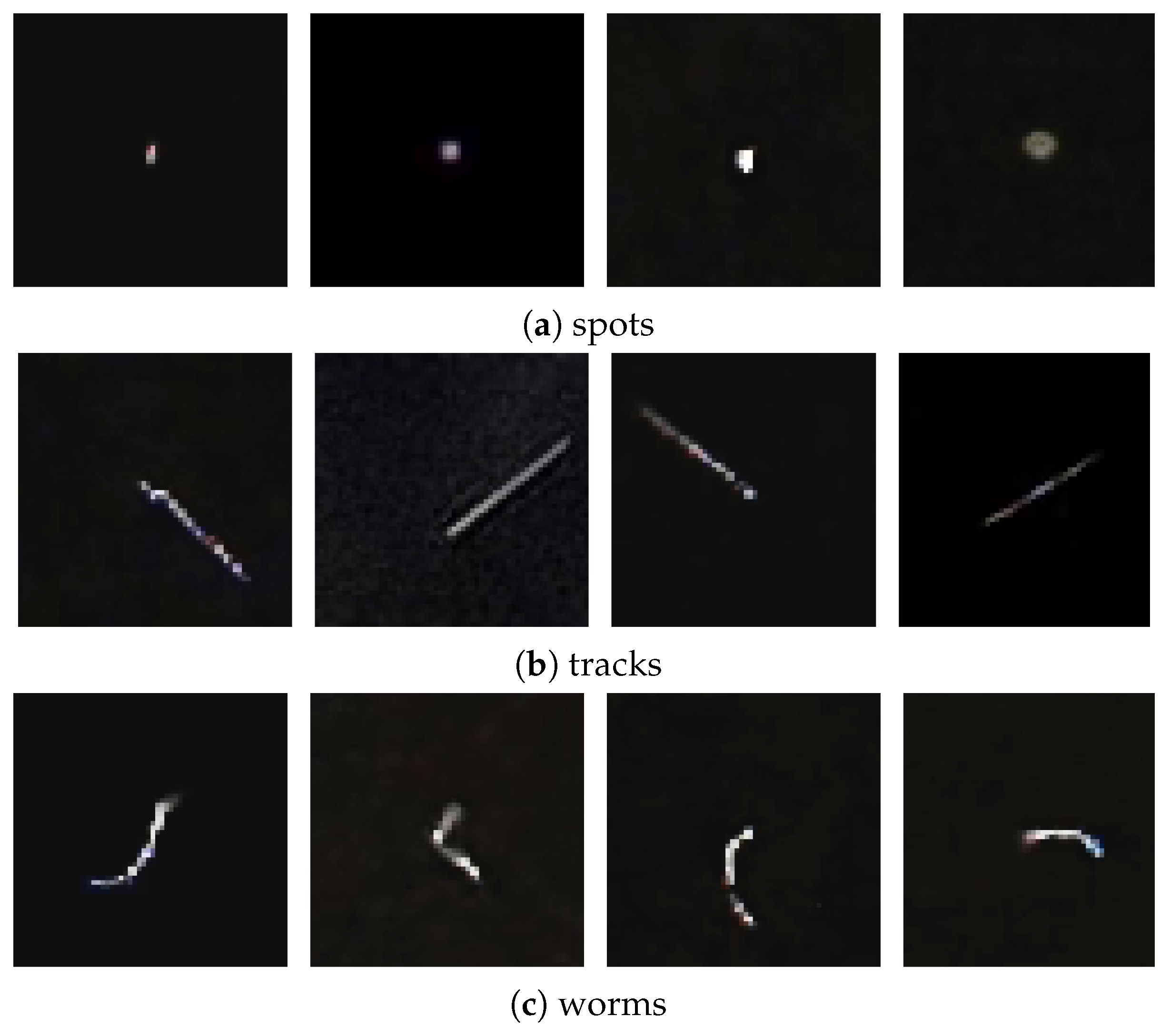 Sensors 21 07718 g002