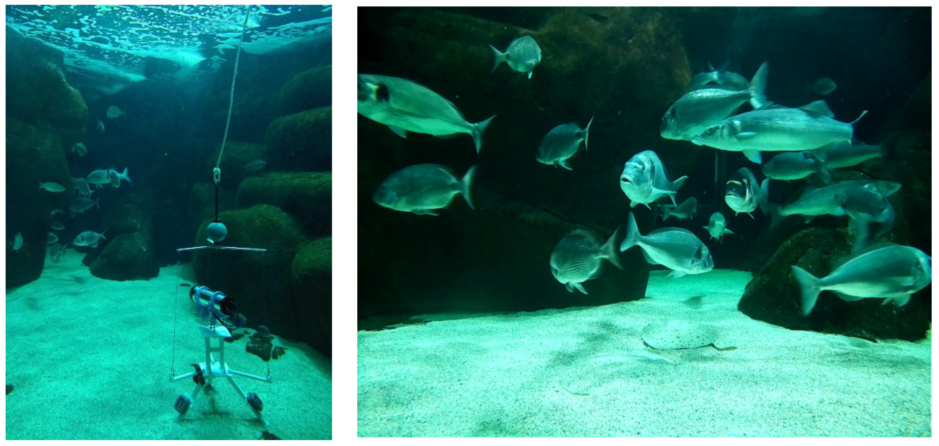 Sensors 21 07724 g012