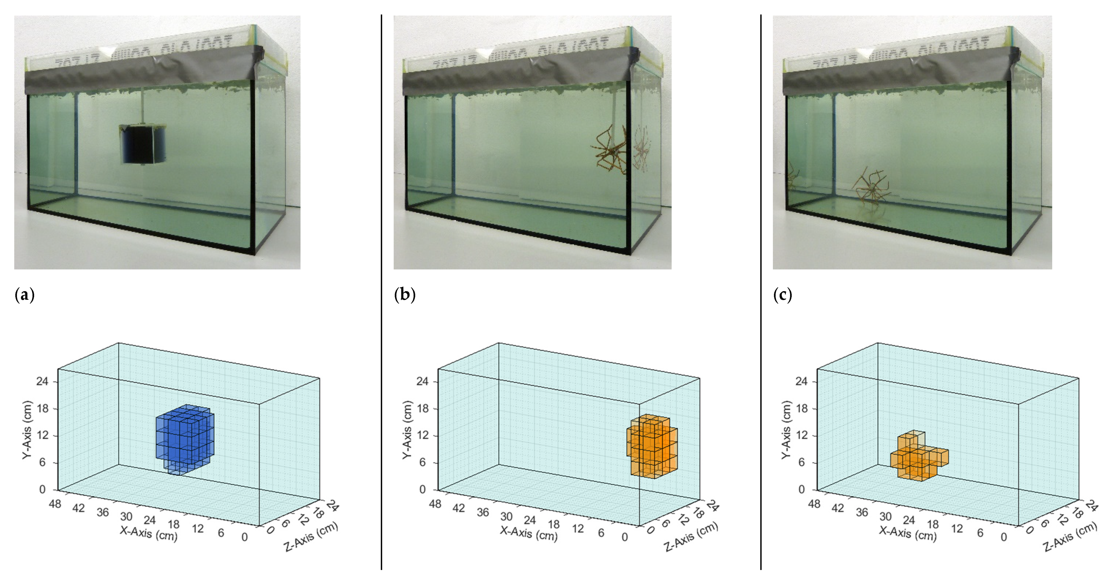 Sensors 21 07725 g006