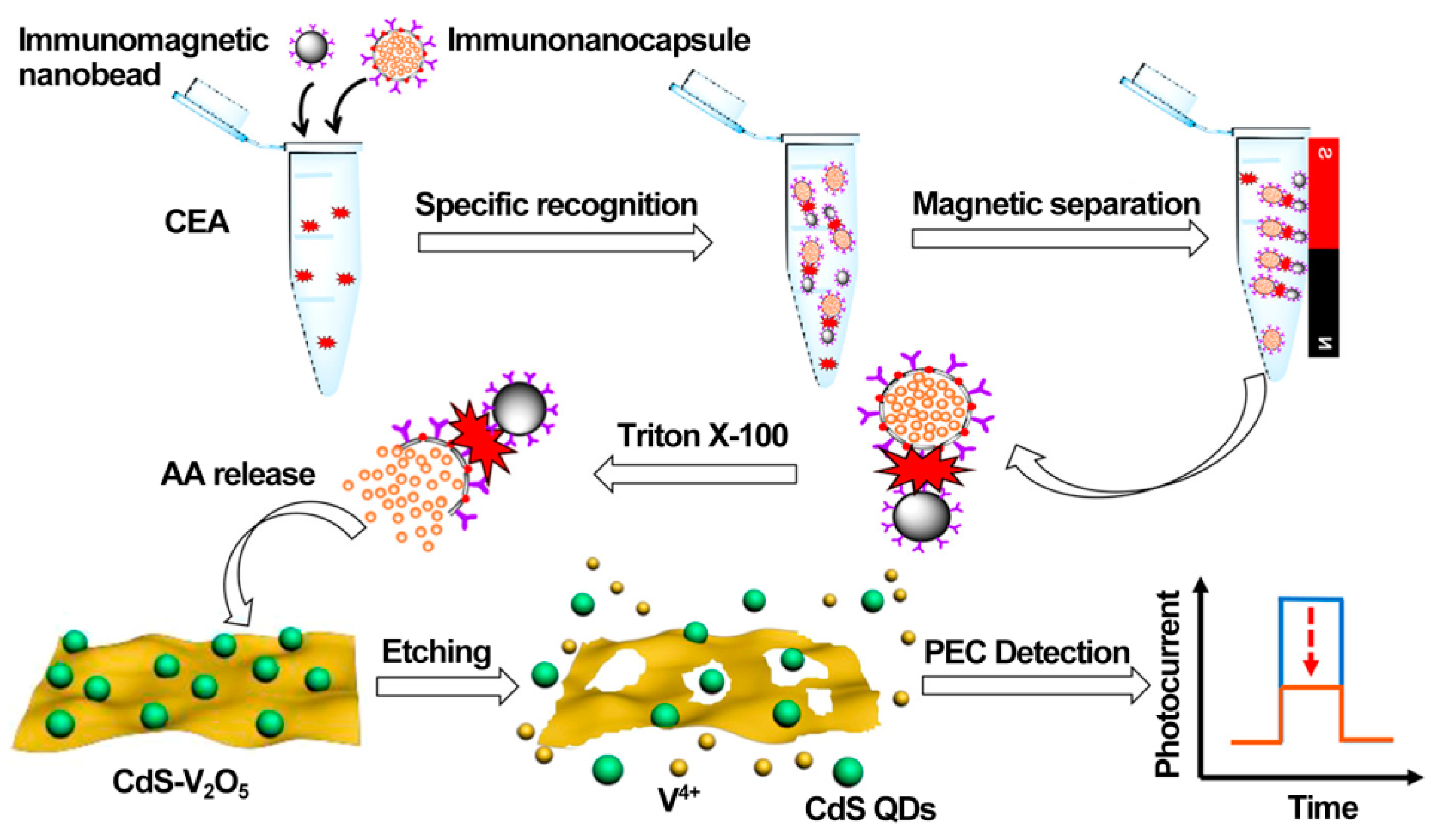 Sensors 21 07742 g007
