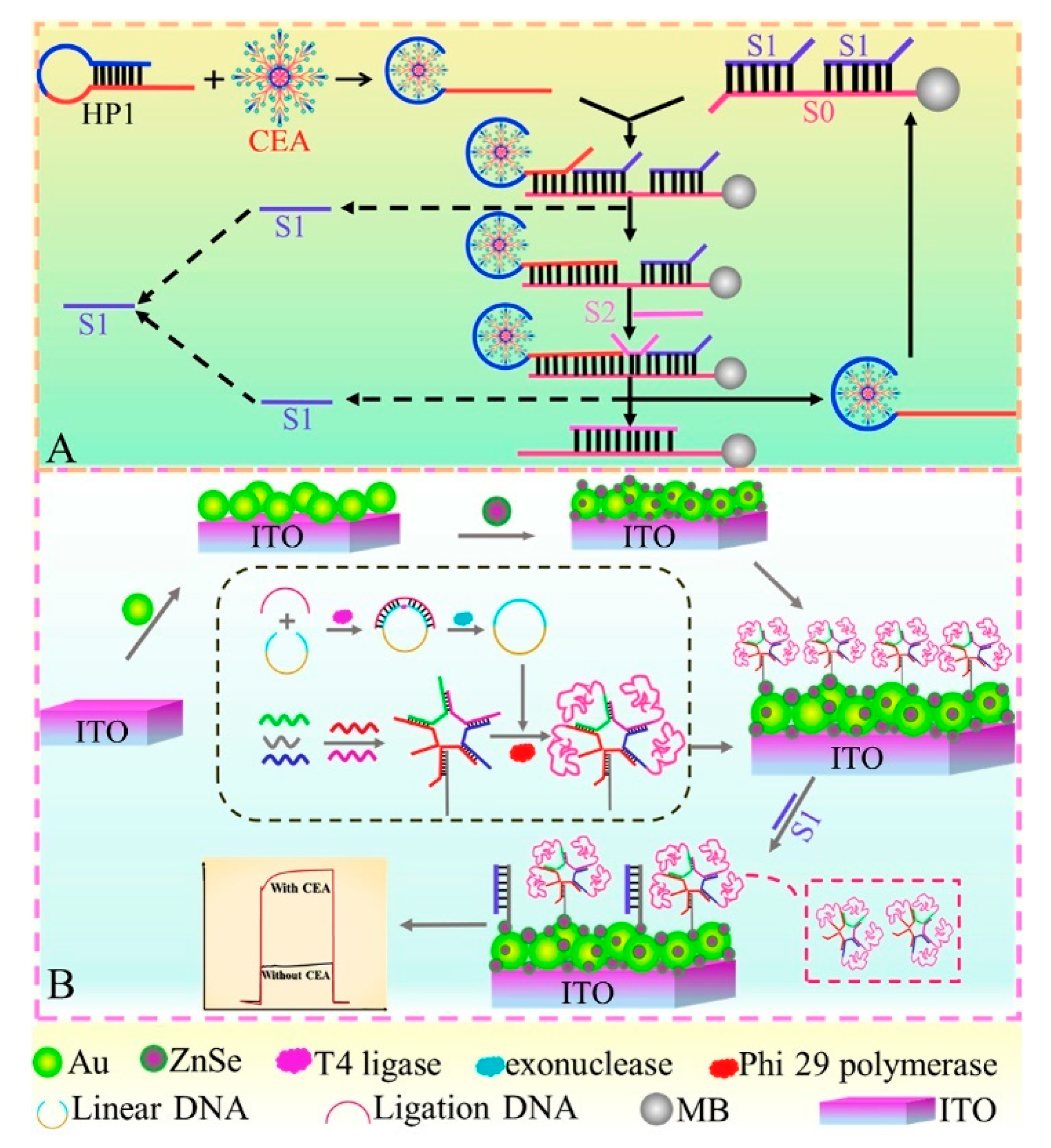 Sensors 21 07742 g010
