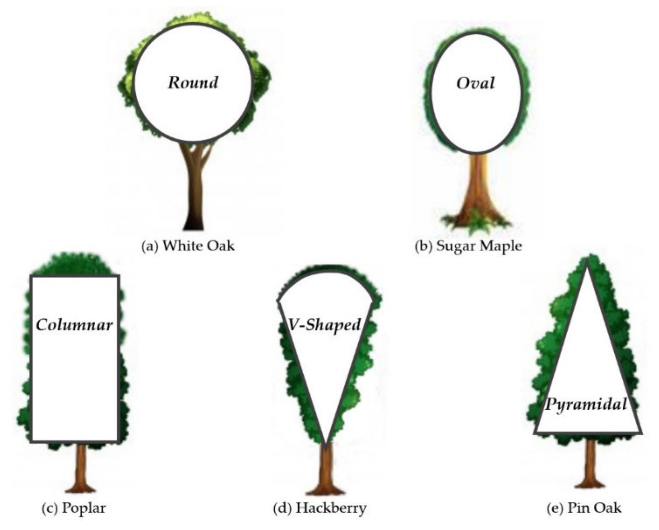 Sensors 21 07748 g001