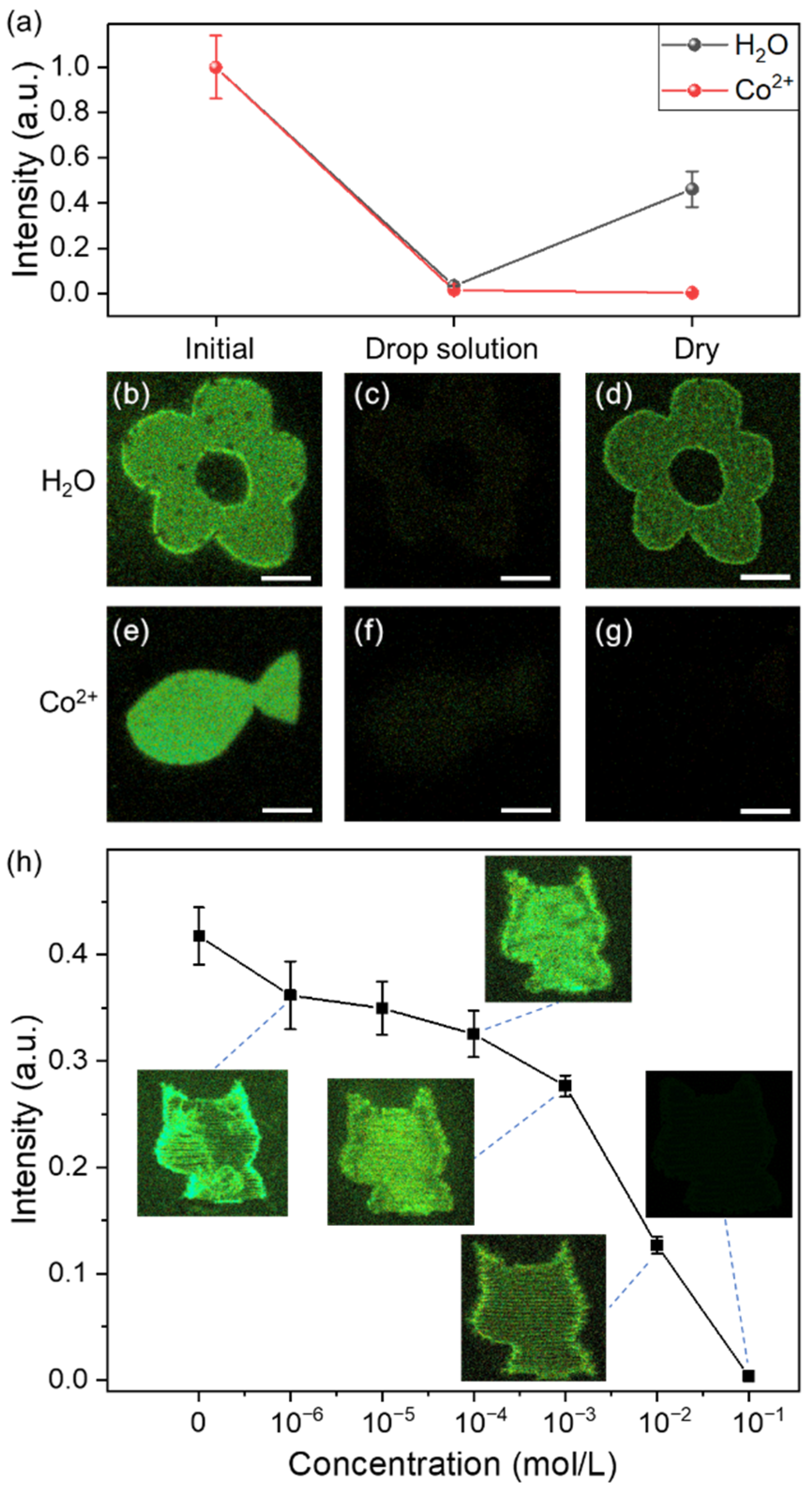 Sensors 21 07755 g004