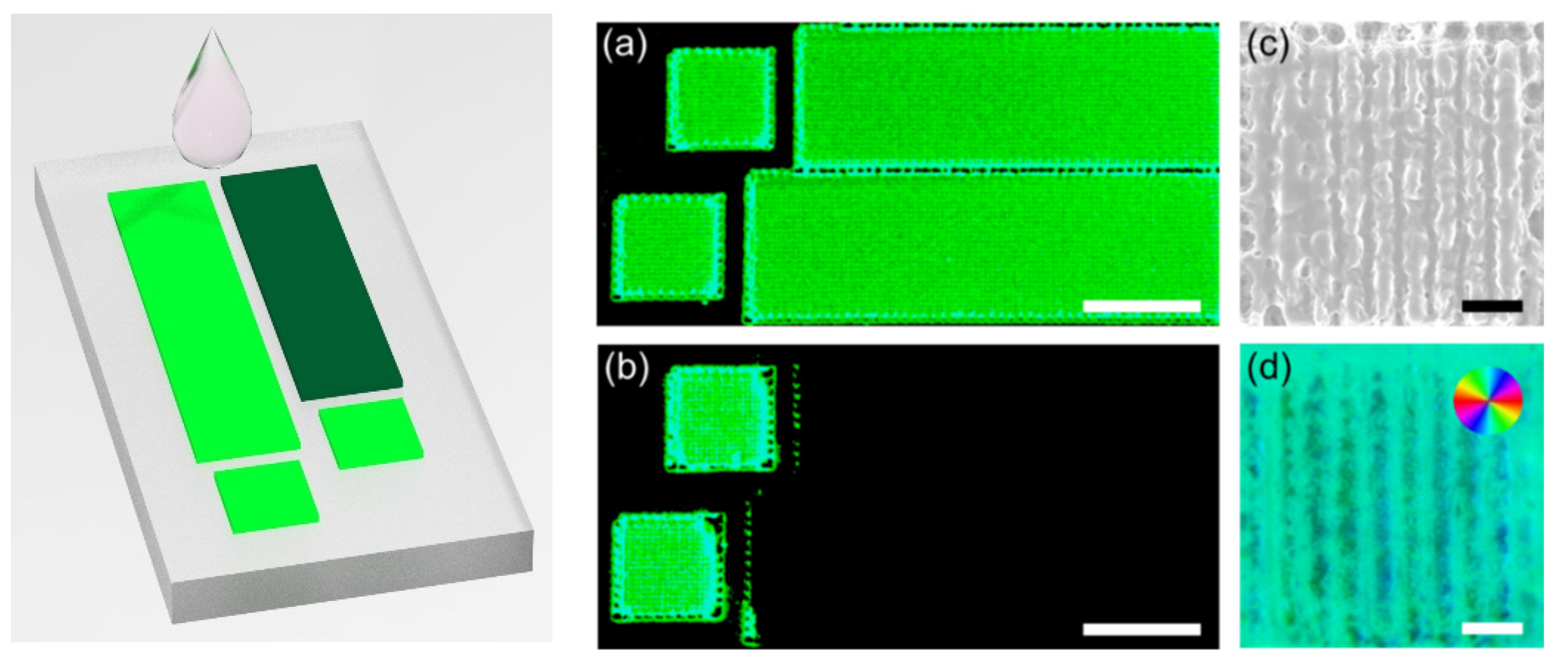 Sensors 21 07755 g005