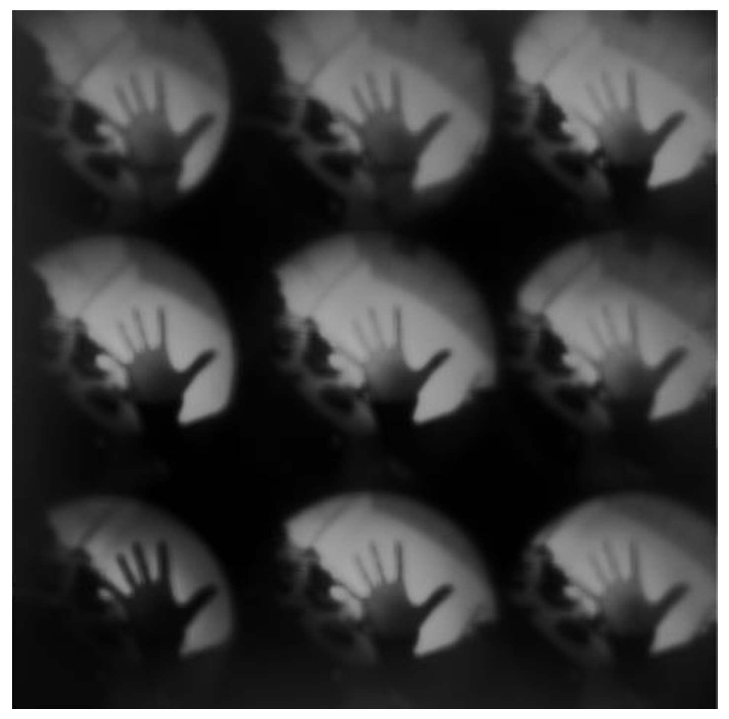 Sensors 21 07757 g013