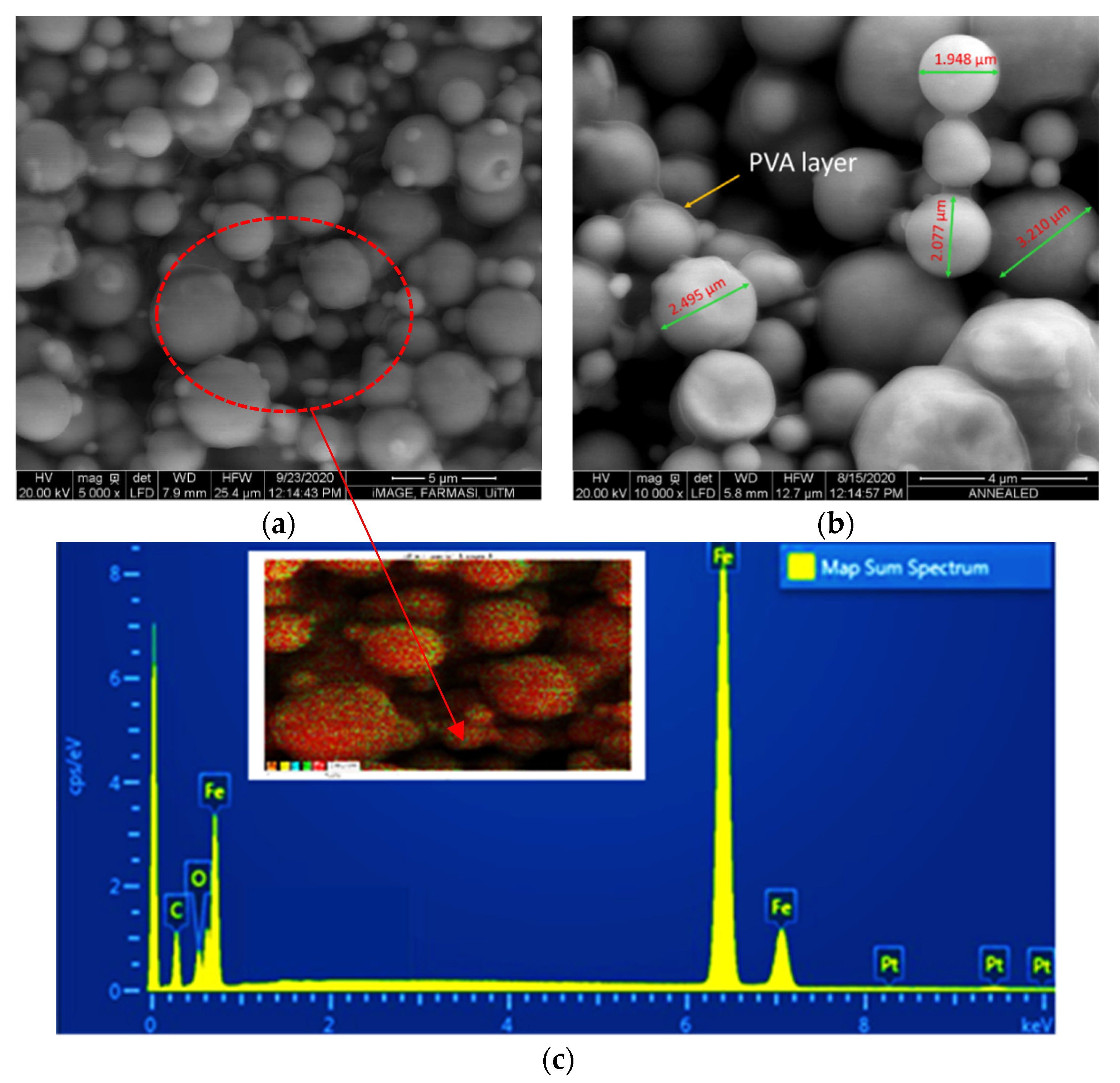 Sensors 21 07758 g002