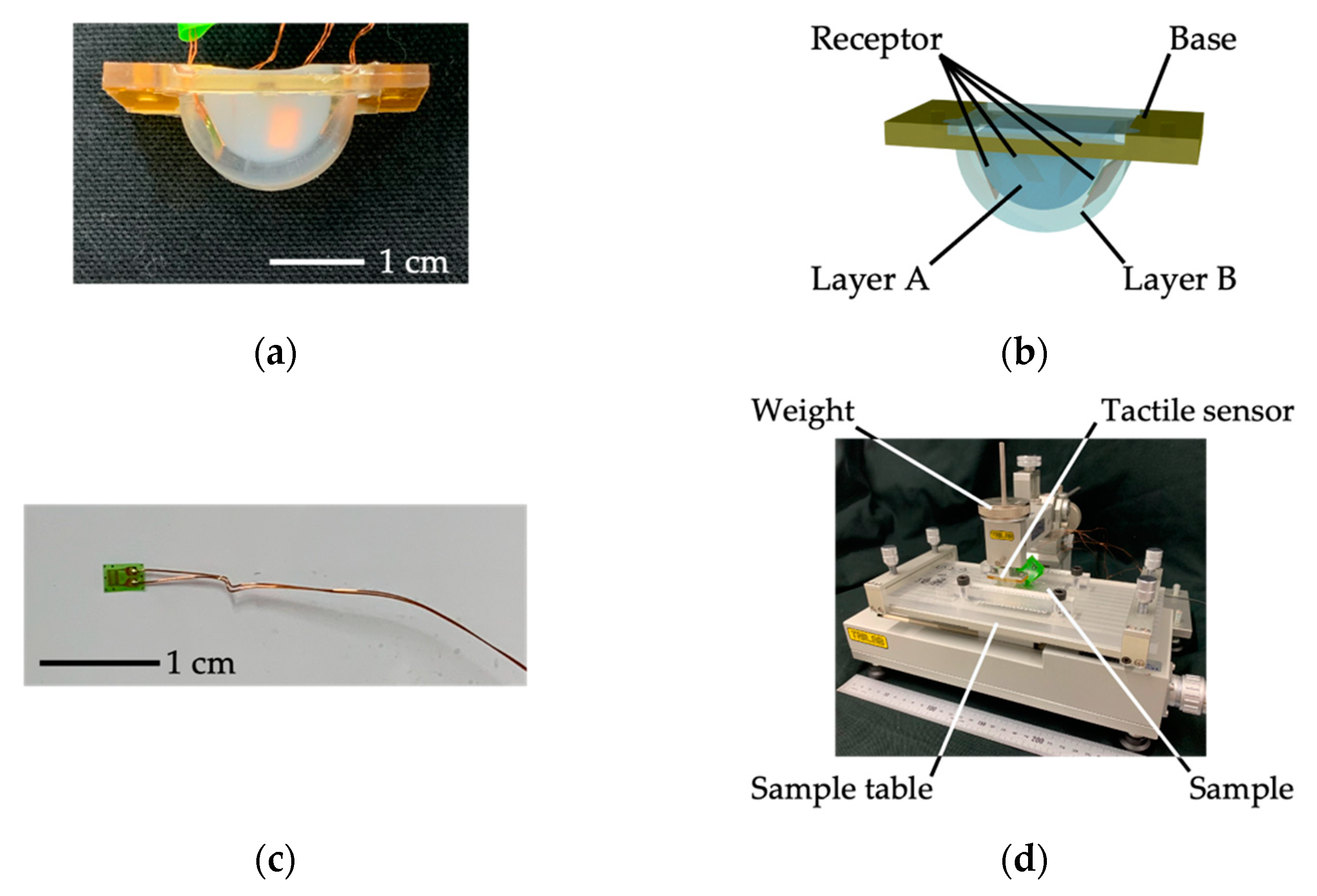 Sensors 21 07772 g003