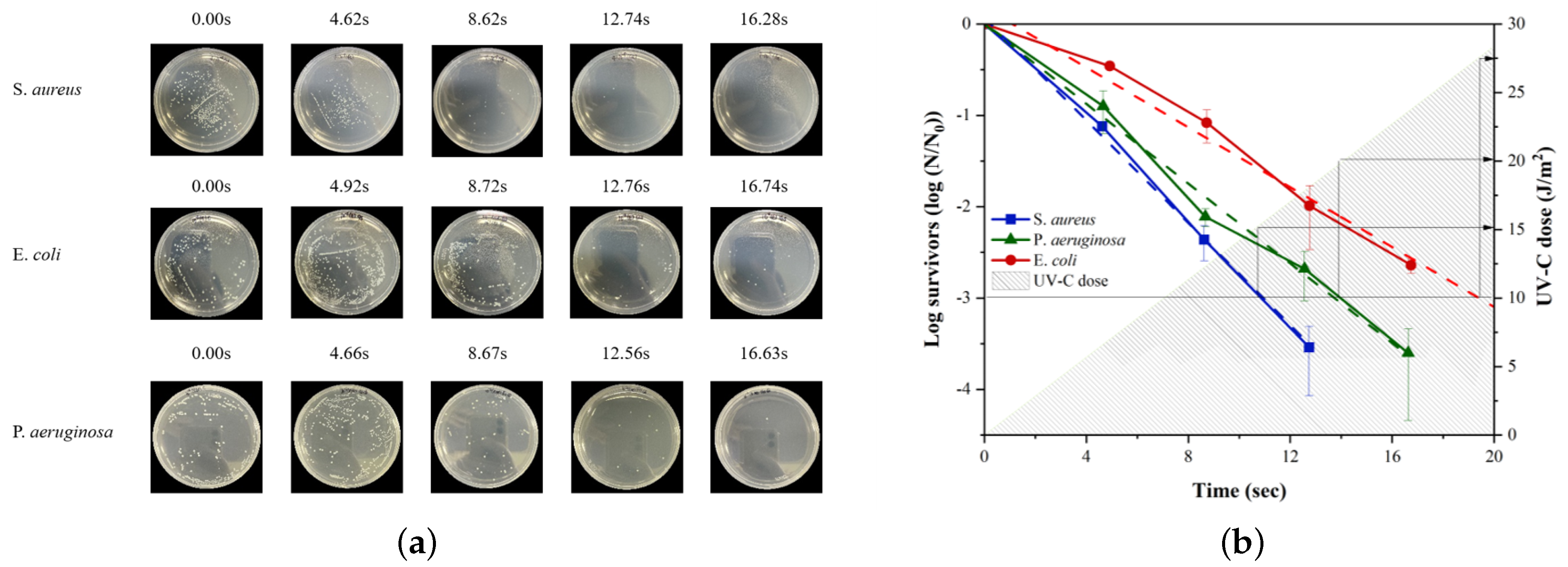 Sensors 21 07776 g005