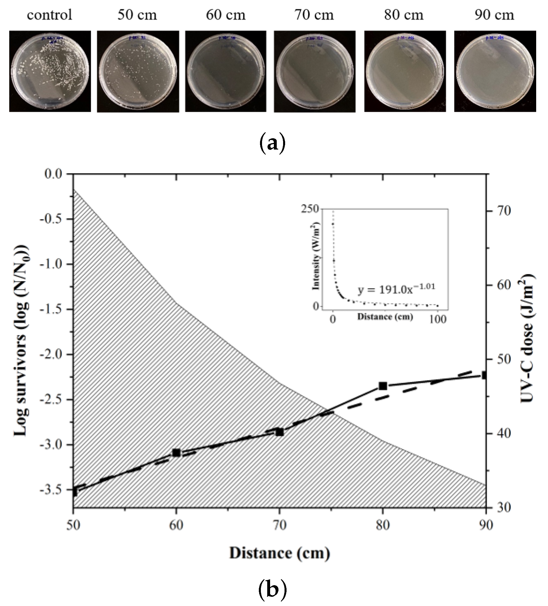Sensors 21 07776 g007