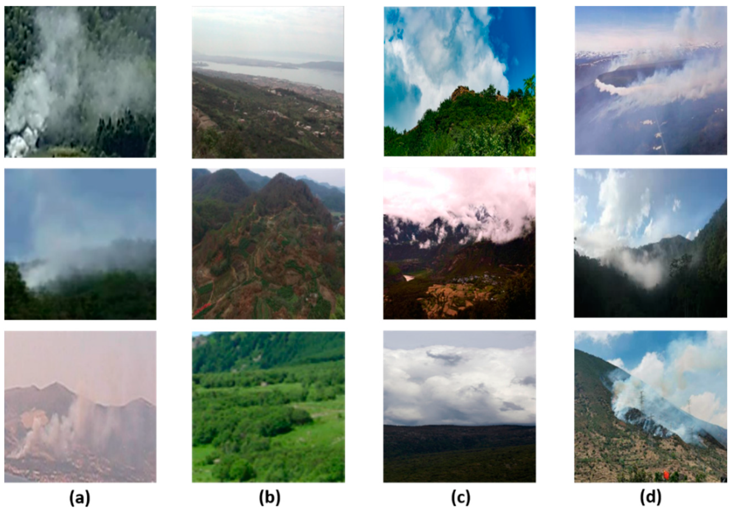 Sensors 21 07785 g010