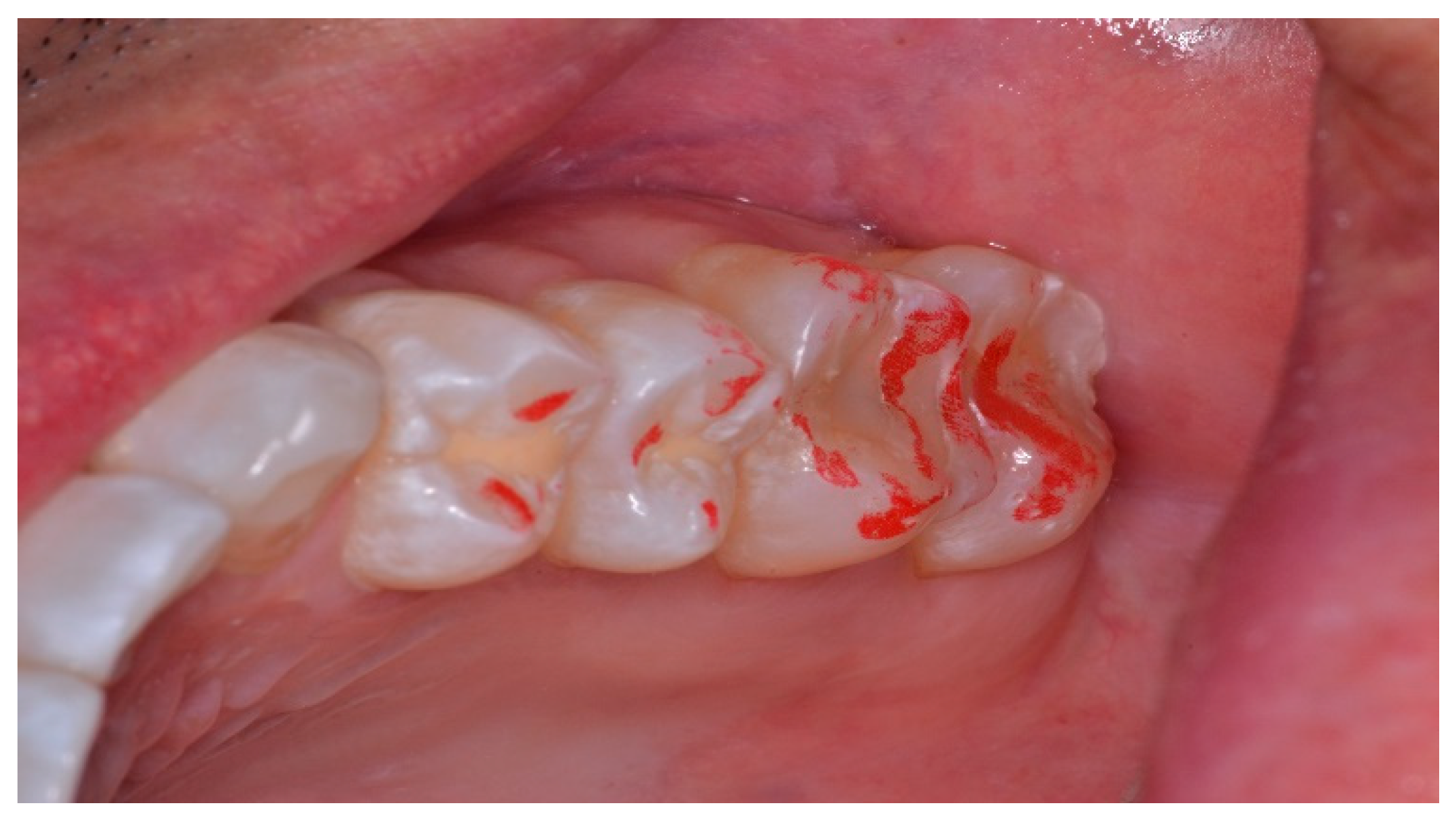 Sensors 21 07804 g012