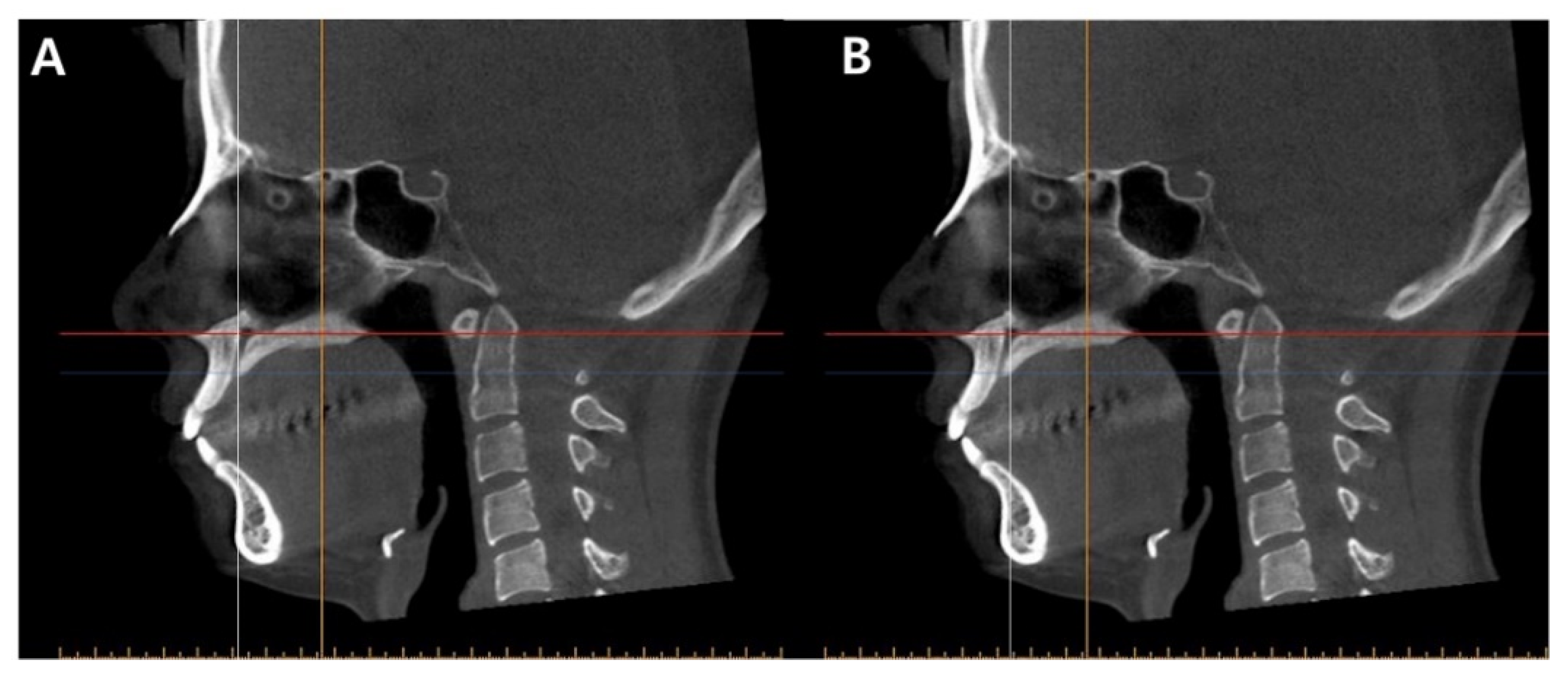 Sensors 21 07812 g002
