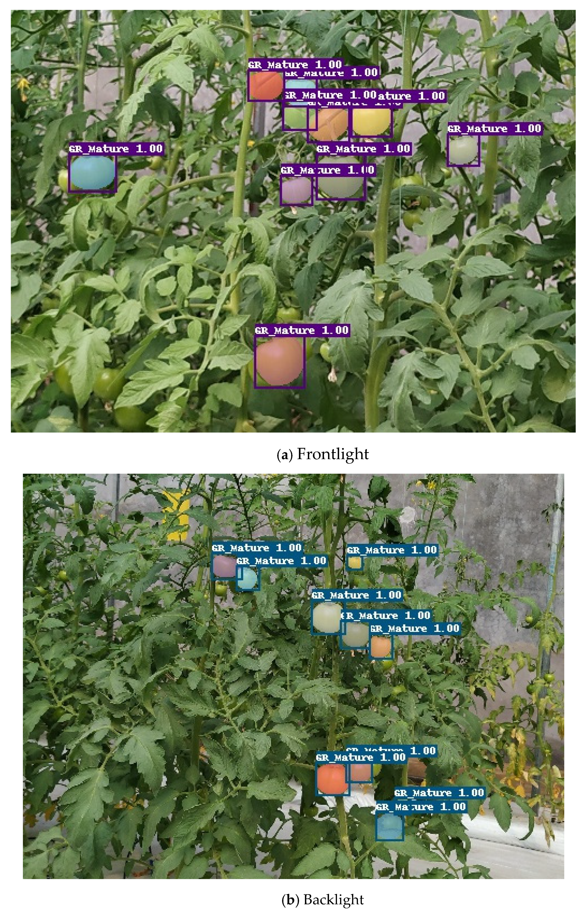 Sensors 21 07842 g010