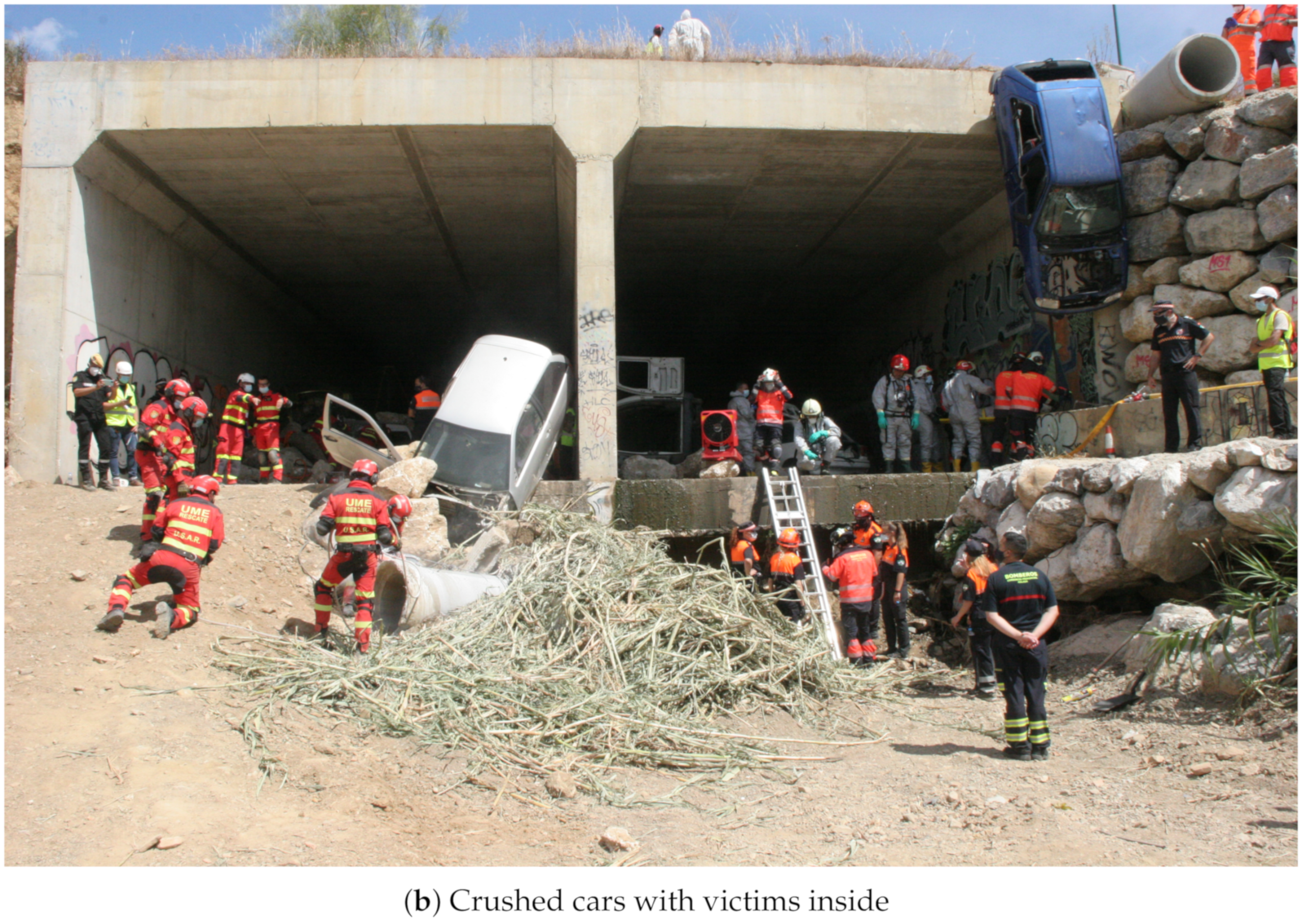 Sensors 21 07843 g008b