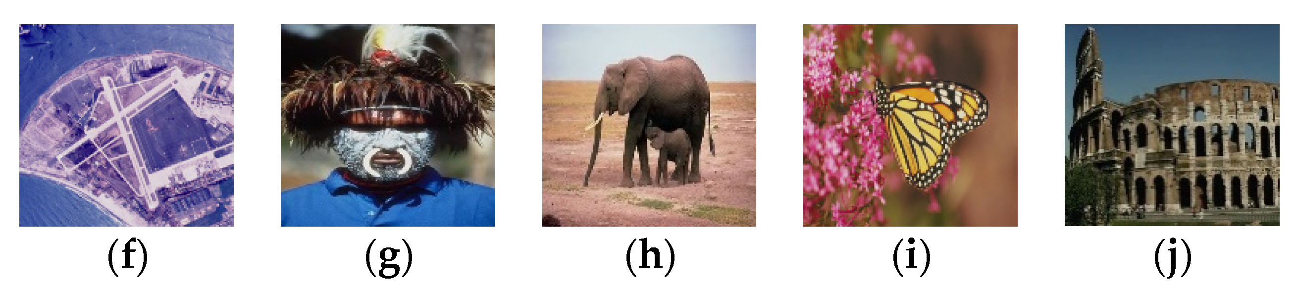 Sensors 21 07845 g004b