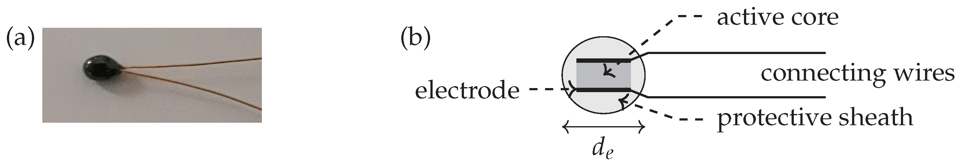 Sensors 21 07866 g001