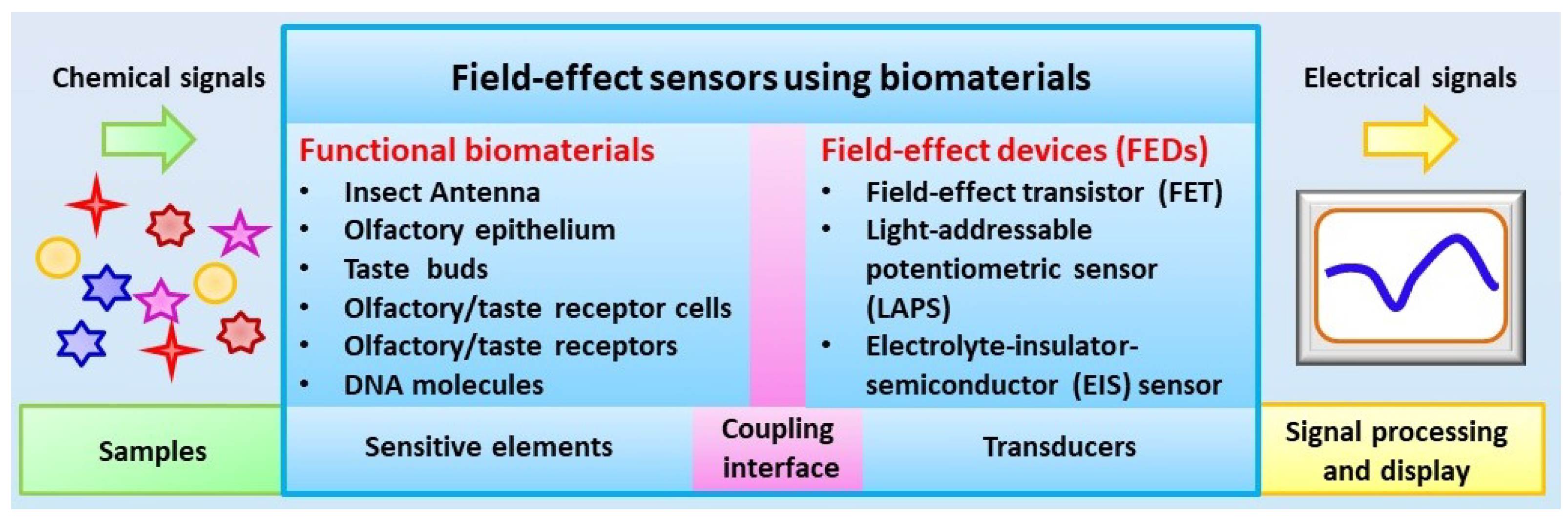 Sensors 21 07874 g001