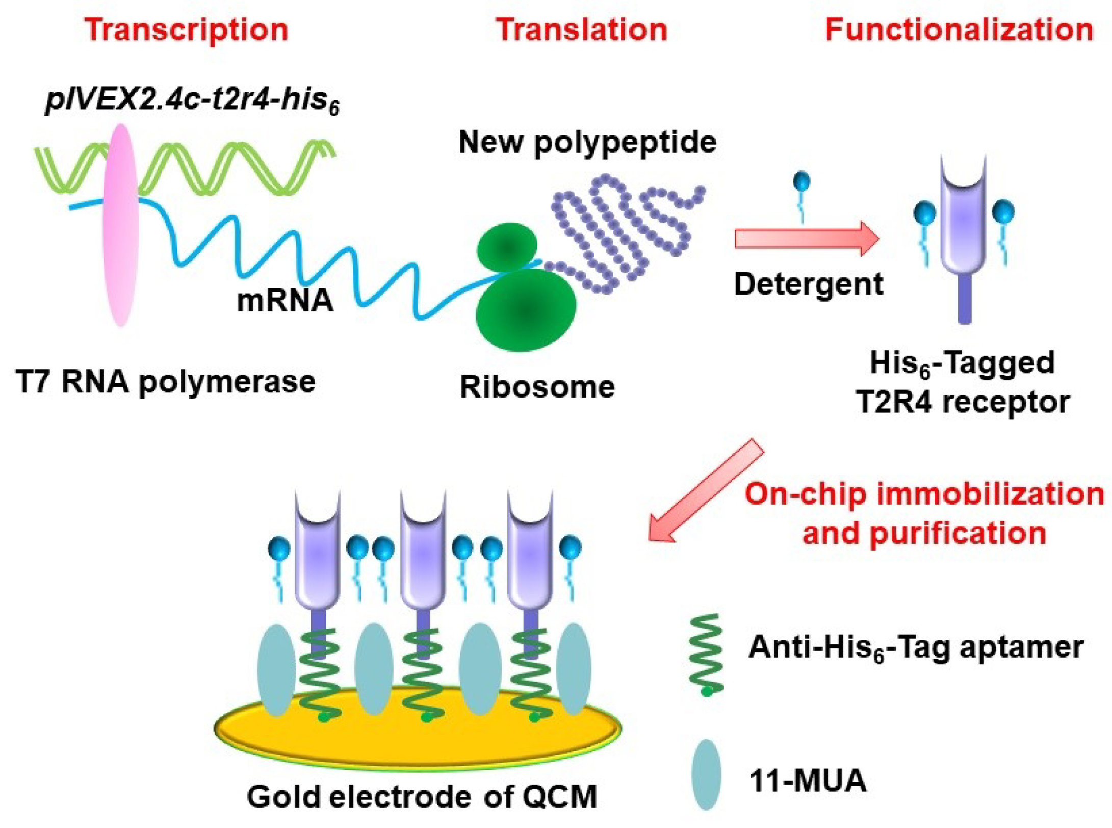 Sensors 21 07874 g002