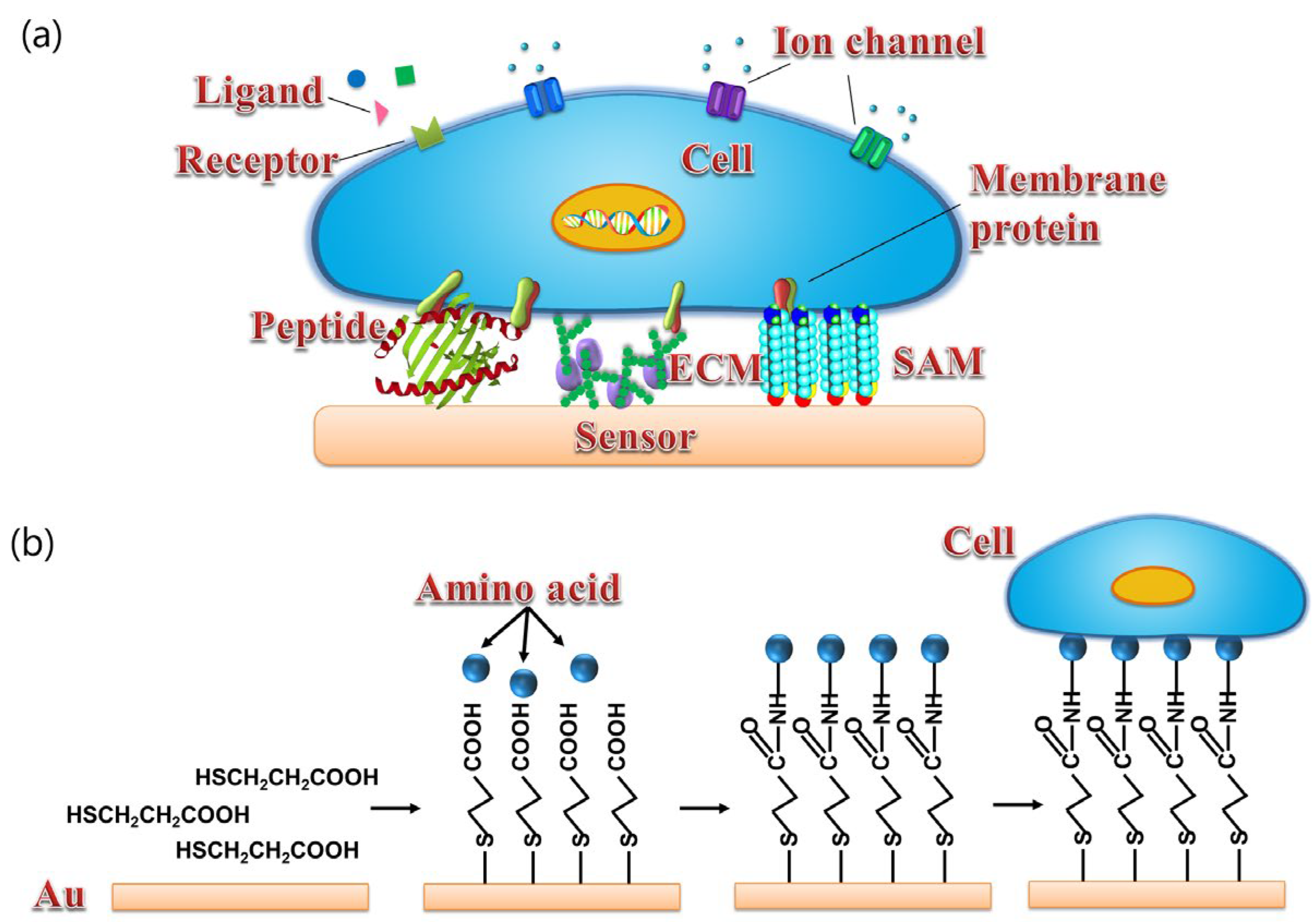 Sensors 21 07874 g004