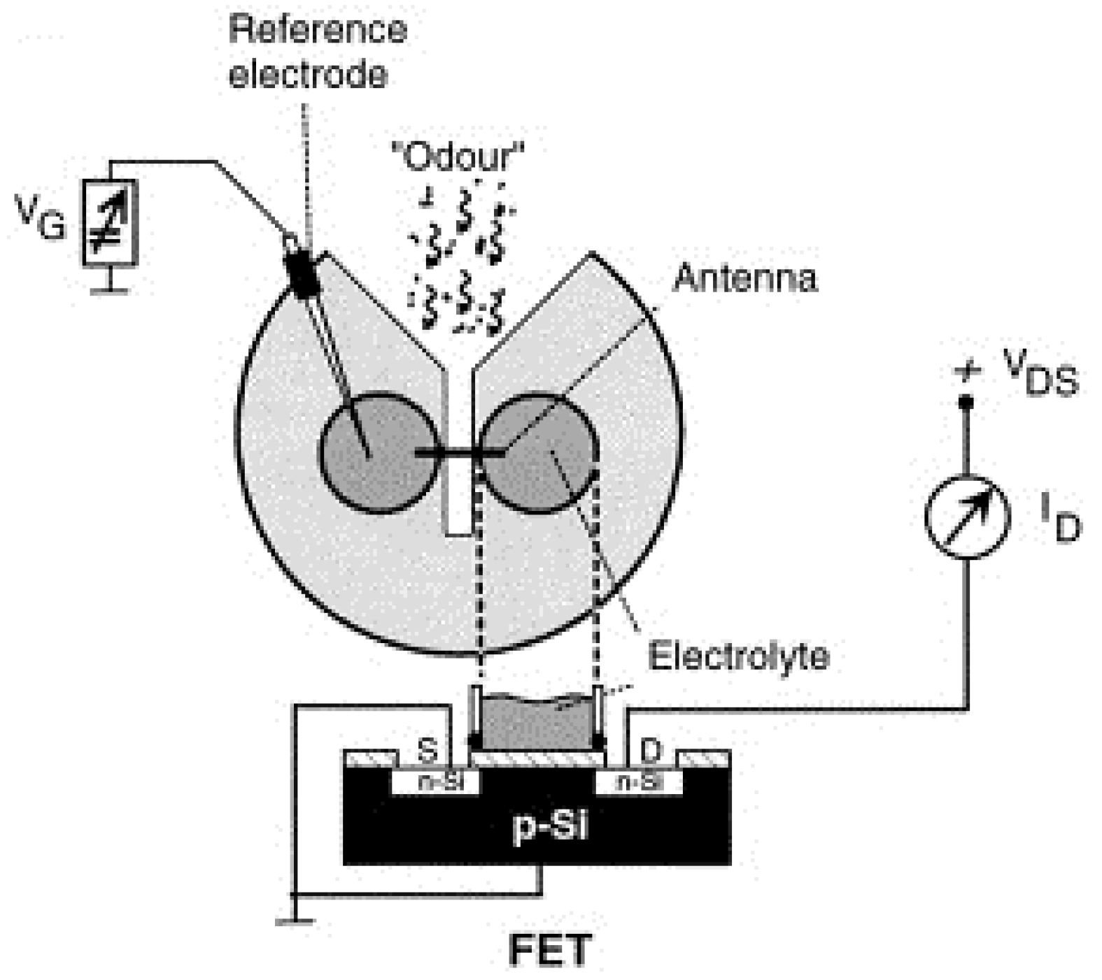 Sensors 21 07874 g005