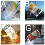 Sensors 21 07901 i005