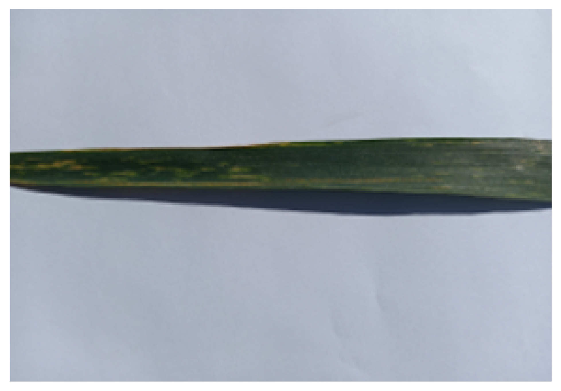 Sensors 21 07903 g002