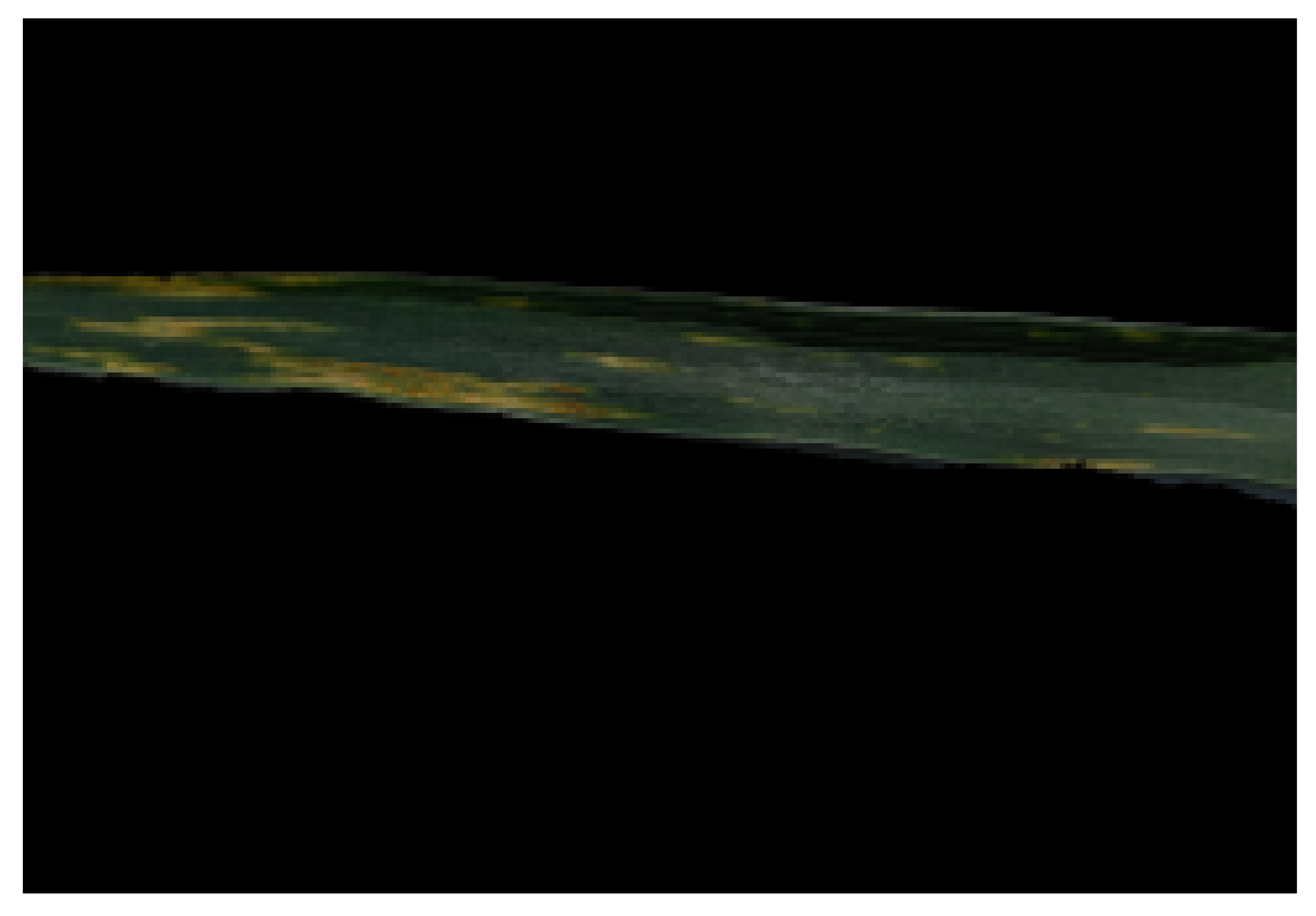 Sensors 21 07903 g003