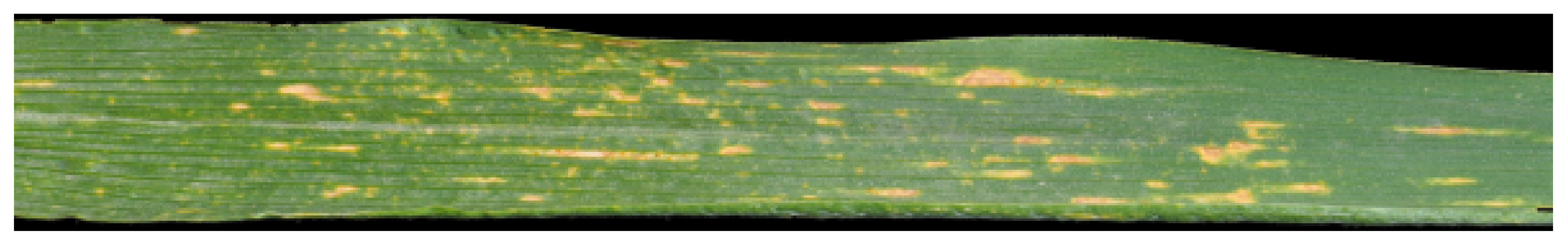 Sensors 21 07903 g005