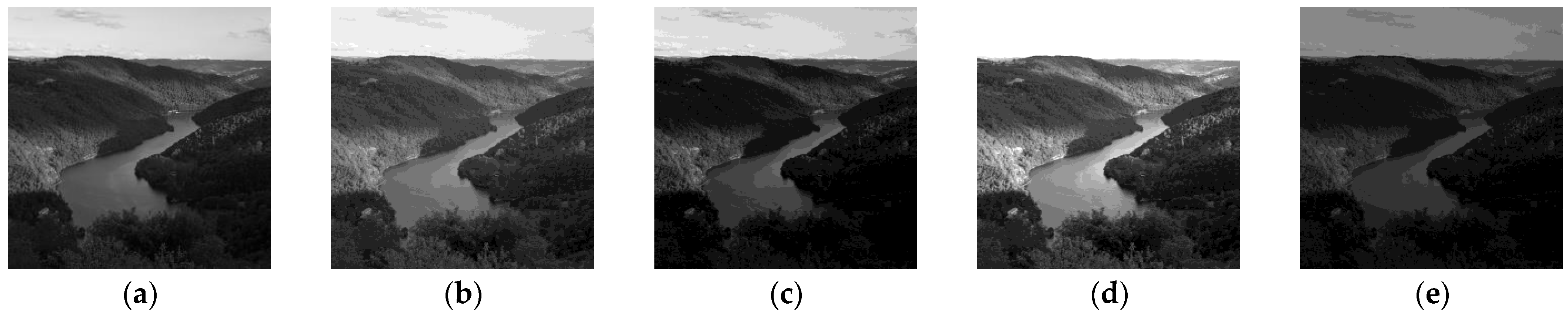 Sensors 21 07906 g001