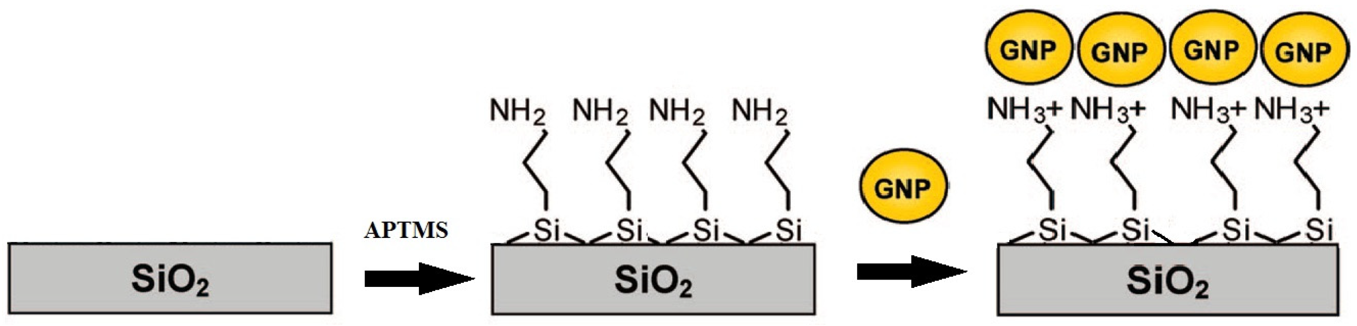 Sensors 21 07912 g001