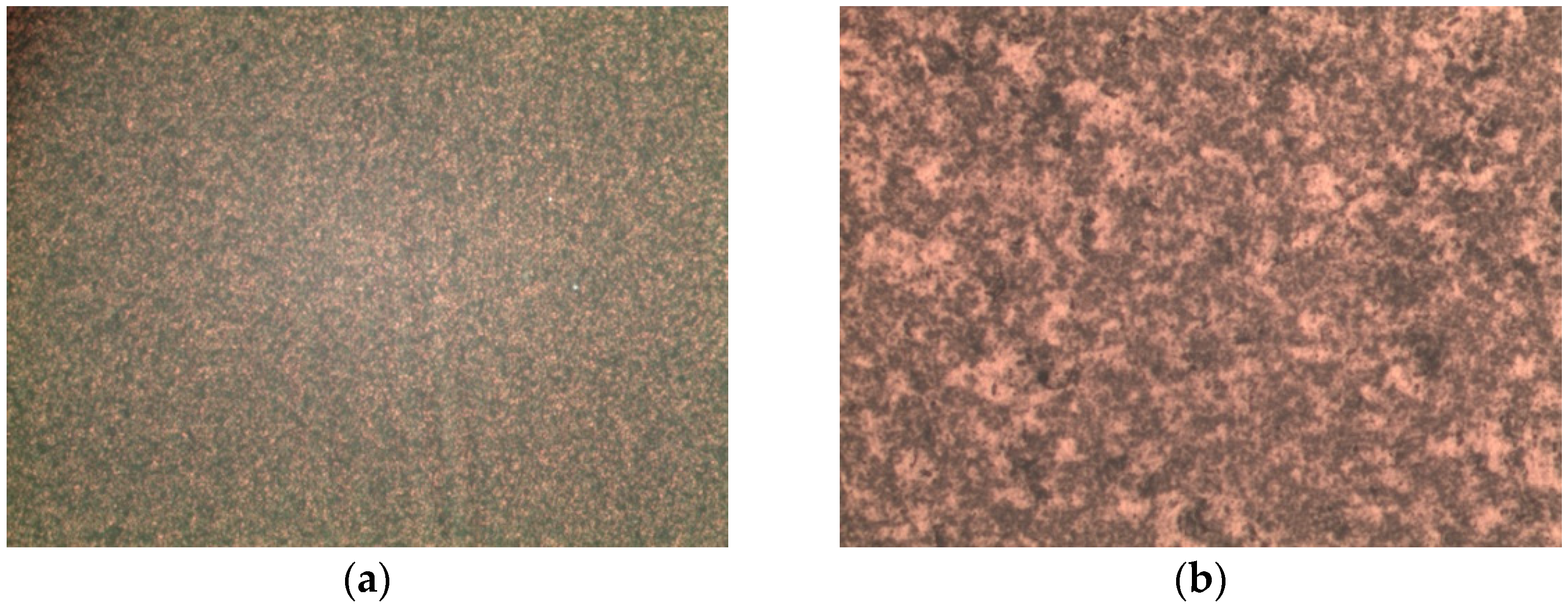 Sensors 21 07912 g011