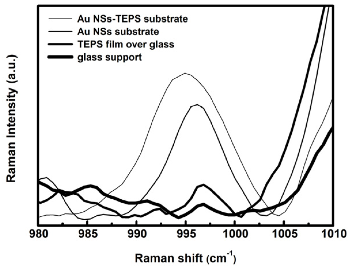 Sensors 21 07912 g019