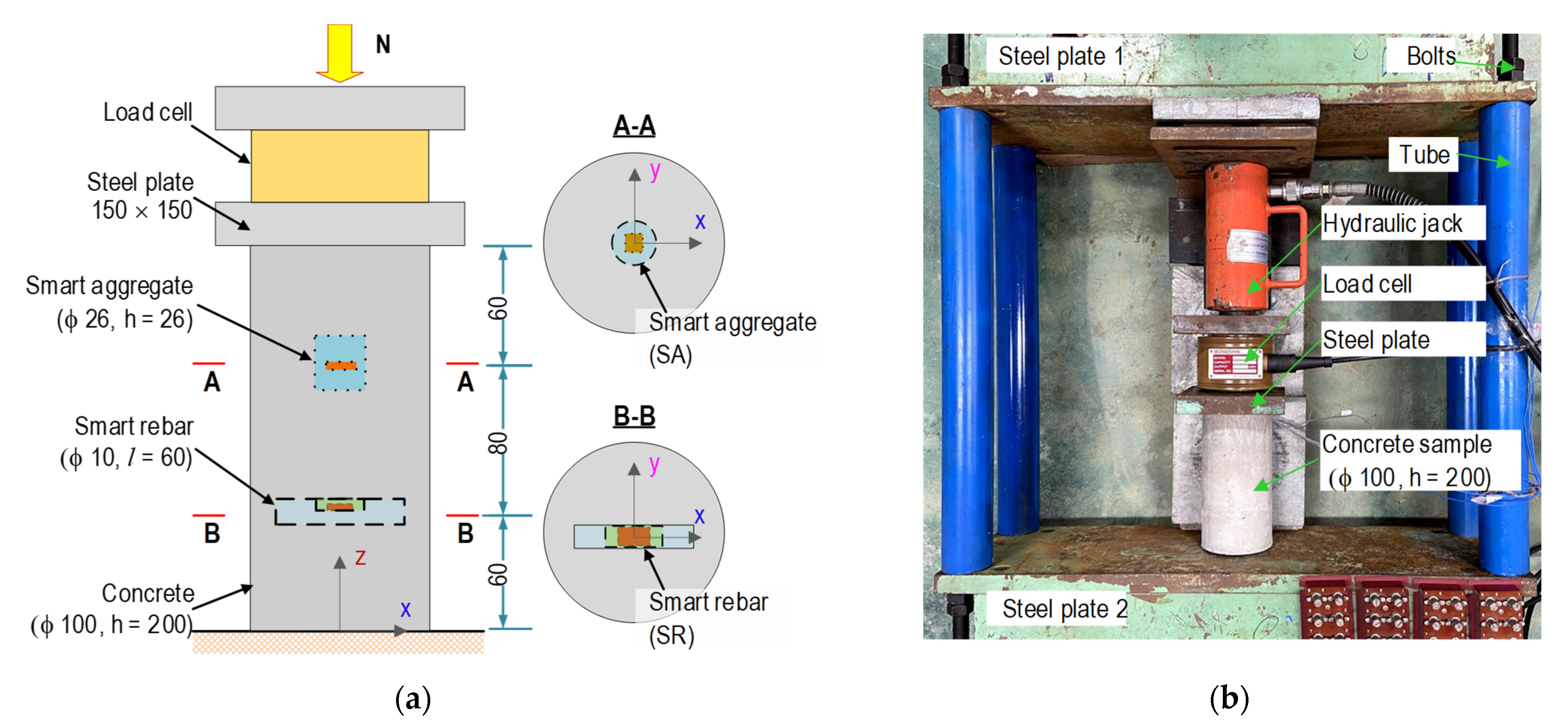 Sensors 21 07918 g012