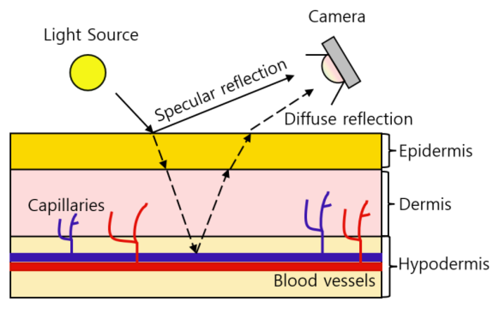 Sensors 21 07923 g002