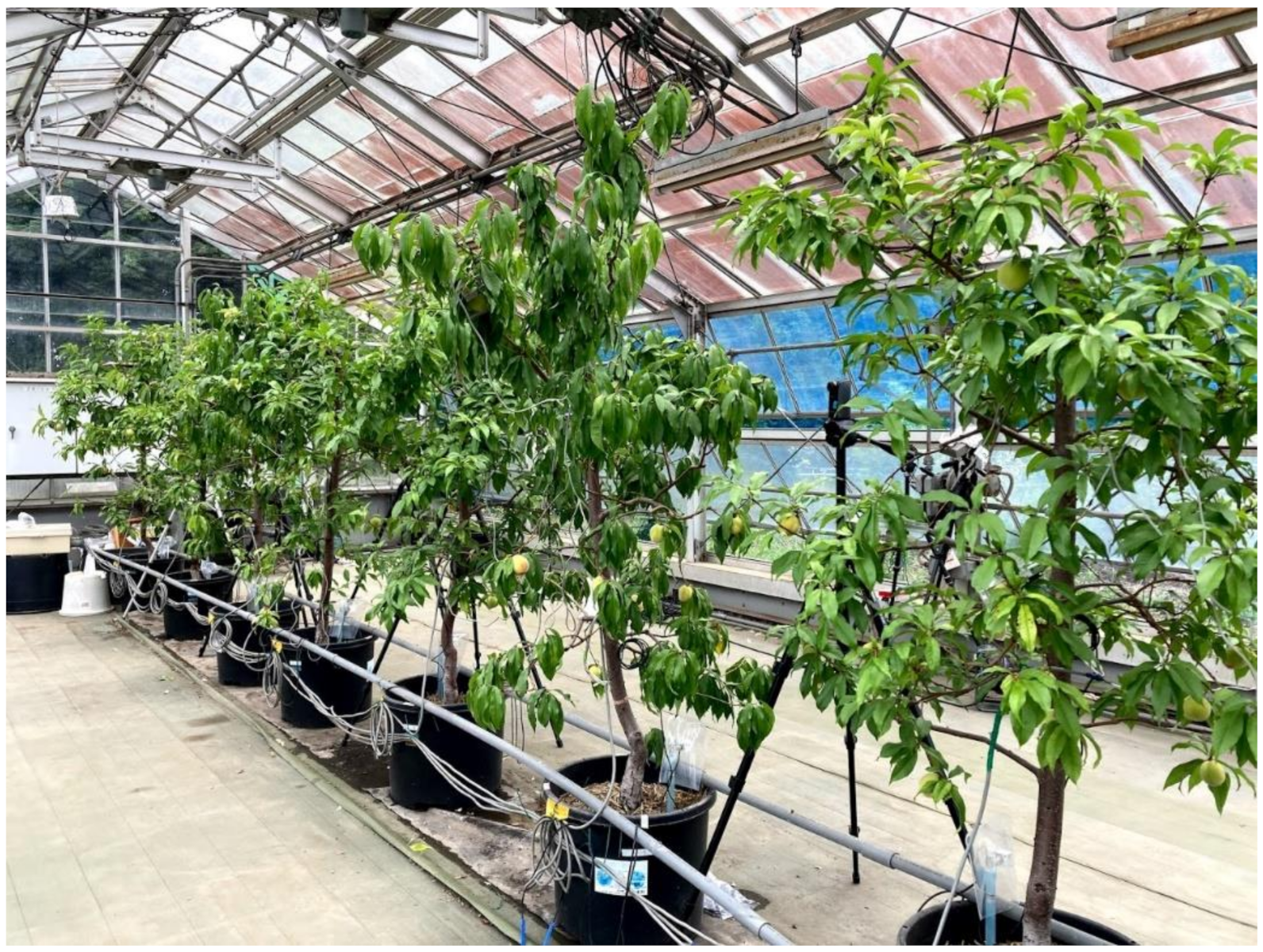 Sensors 21 07924 g001