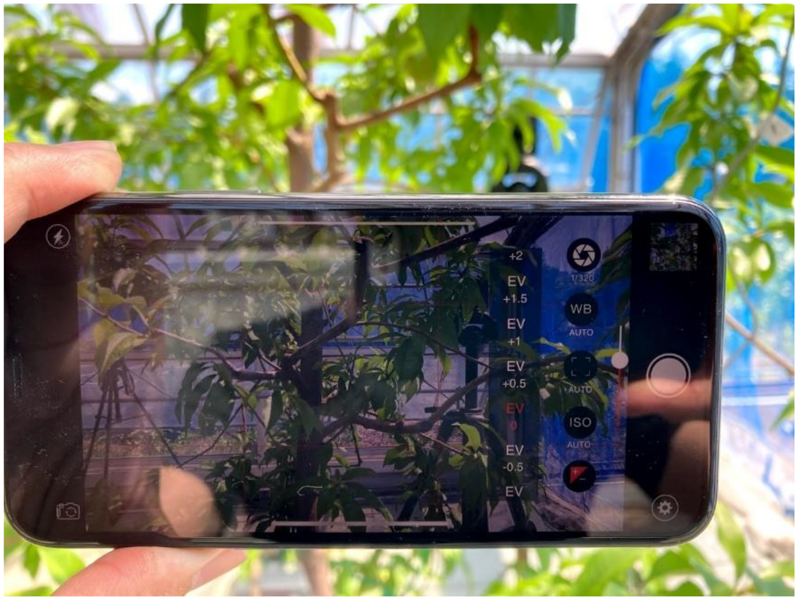 Sensors 21 07924 g002