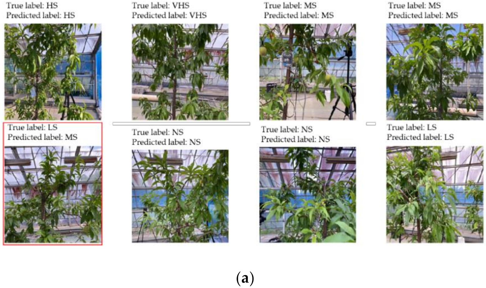 Sensors 21 07924 g009a