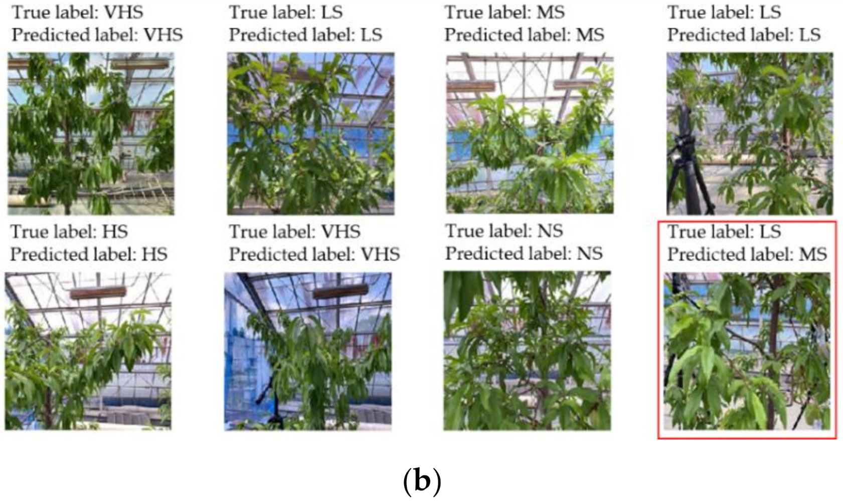 Sensors 21 07924 g009b