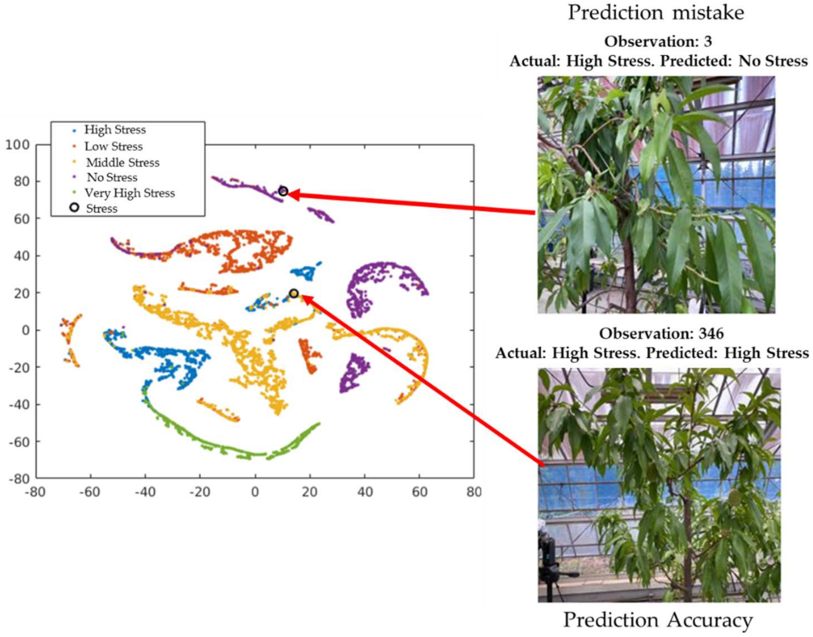 Sensors 21 07924 g012
