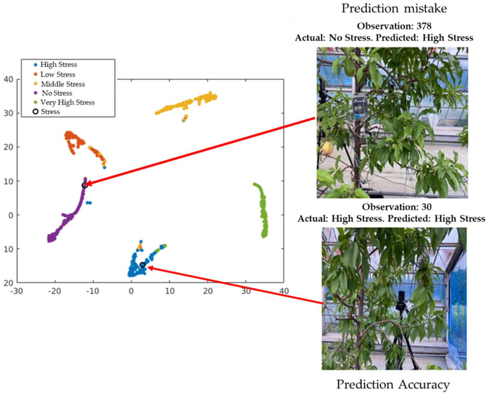 Sensors 21 07924 g013