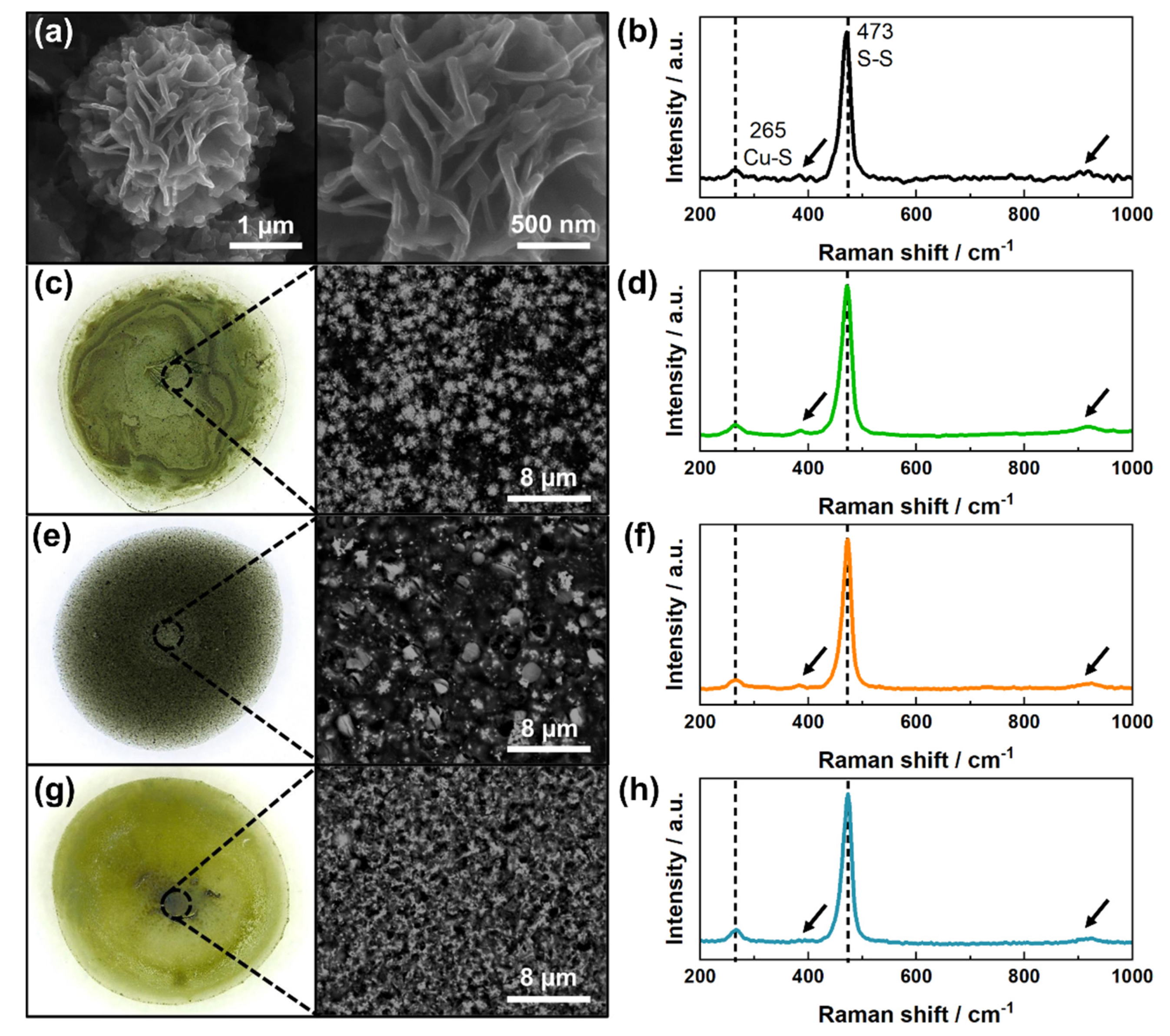 Sensors 21 07928 g001