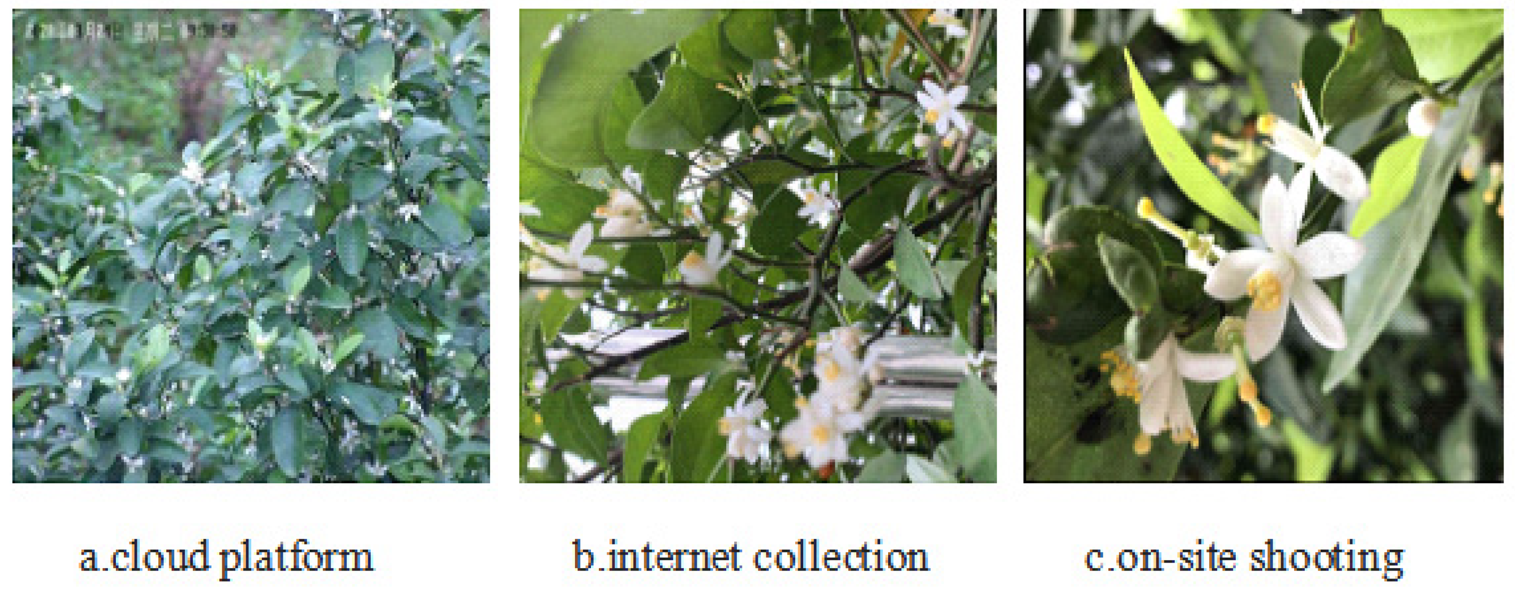 Sensors 21 07929 g001