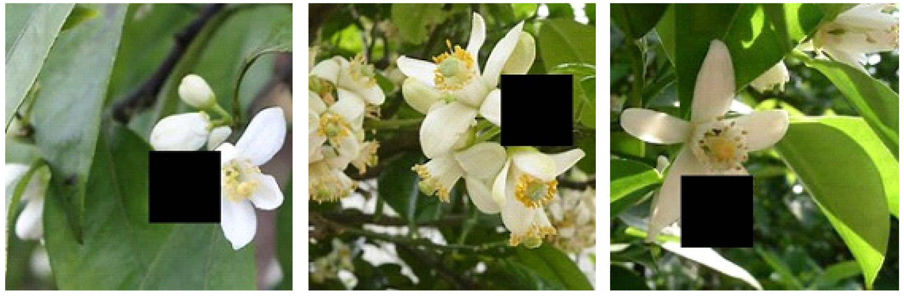 Sensors 21 07929 g002