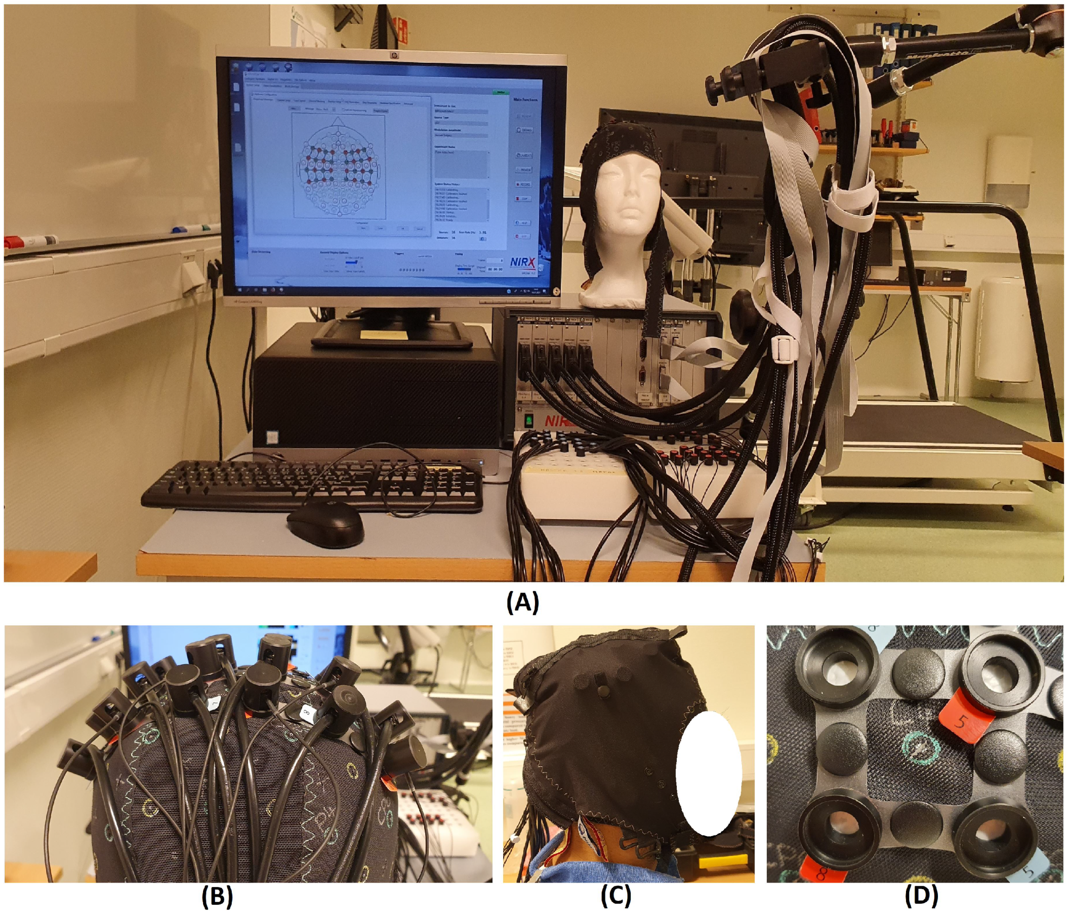Sensors 21 07943 g001