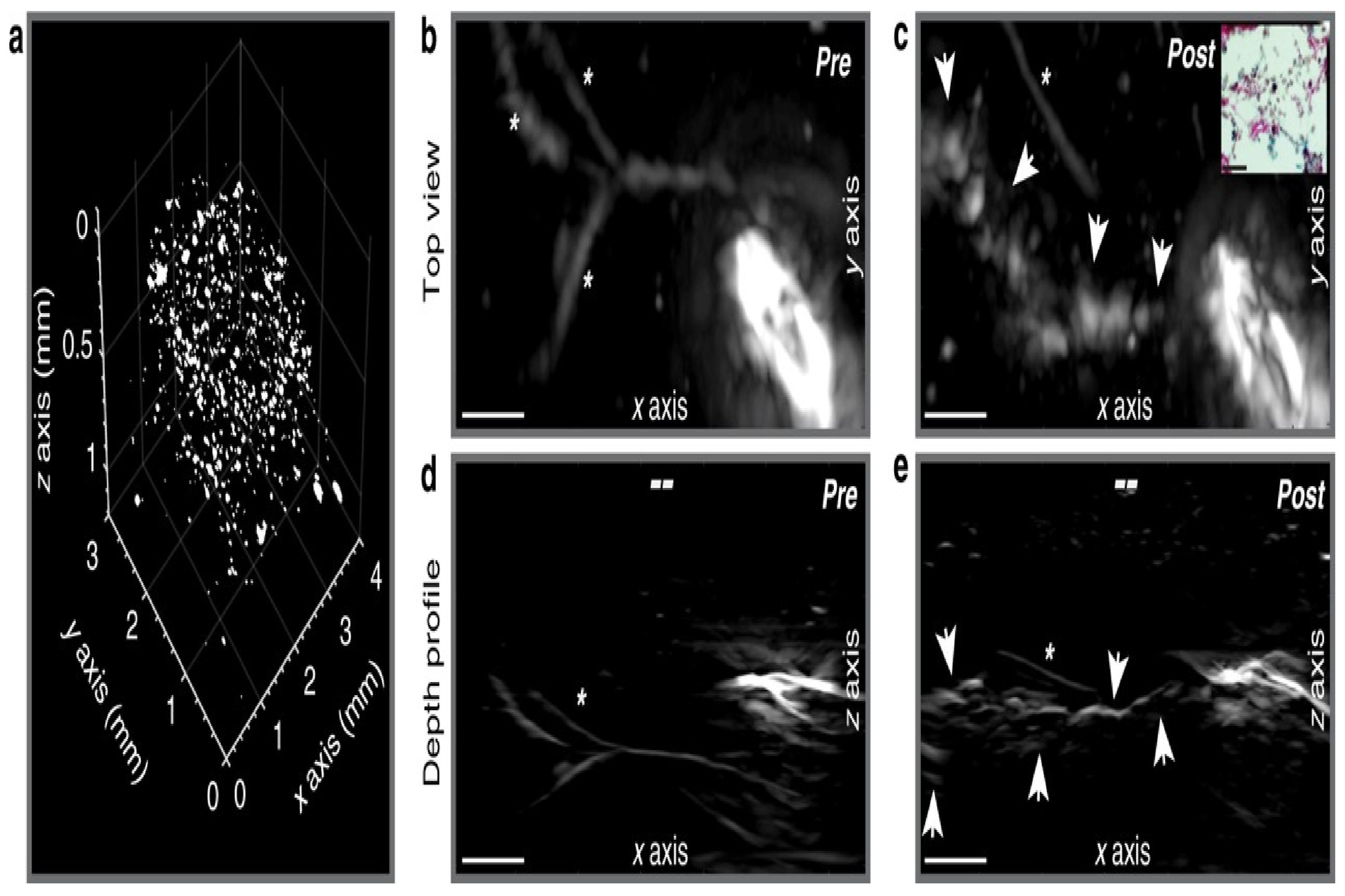 Sensors 21 07947 g008