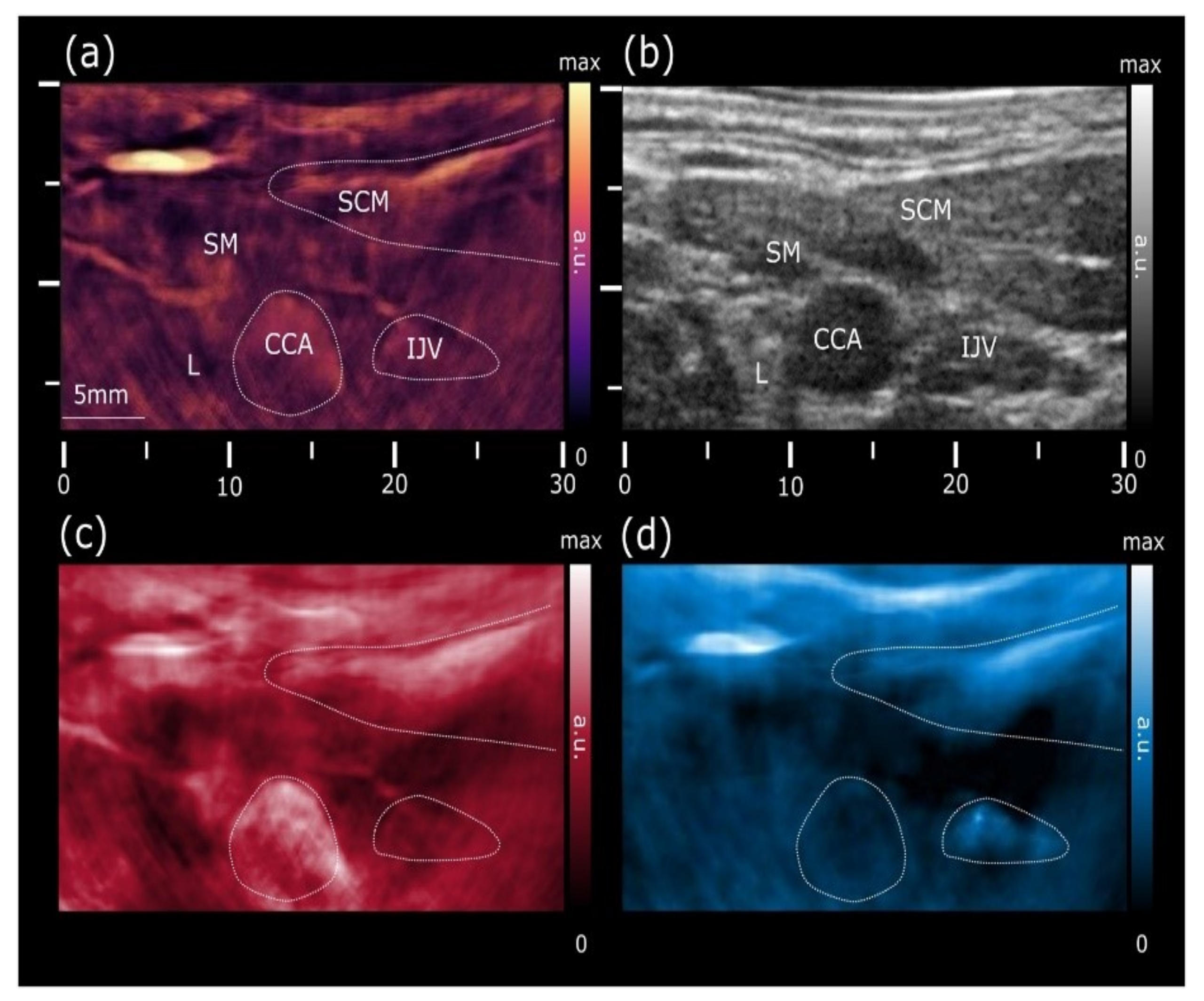 Sensors 21 07947 g010