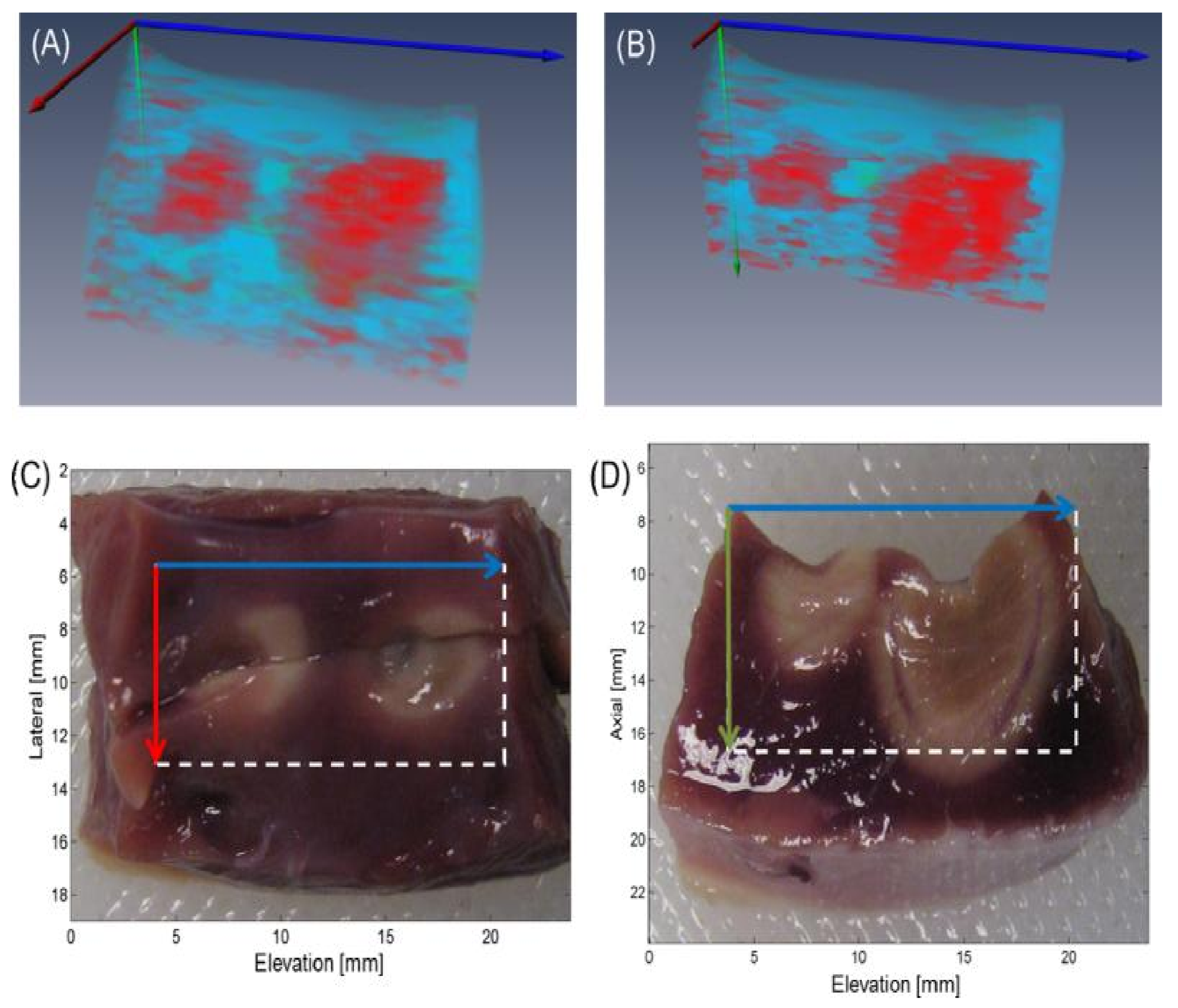 Sensors 21 07947 g011