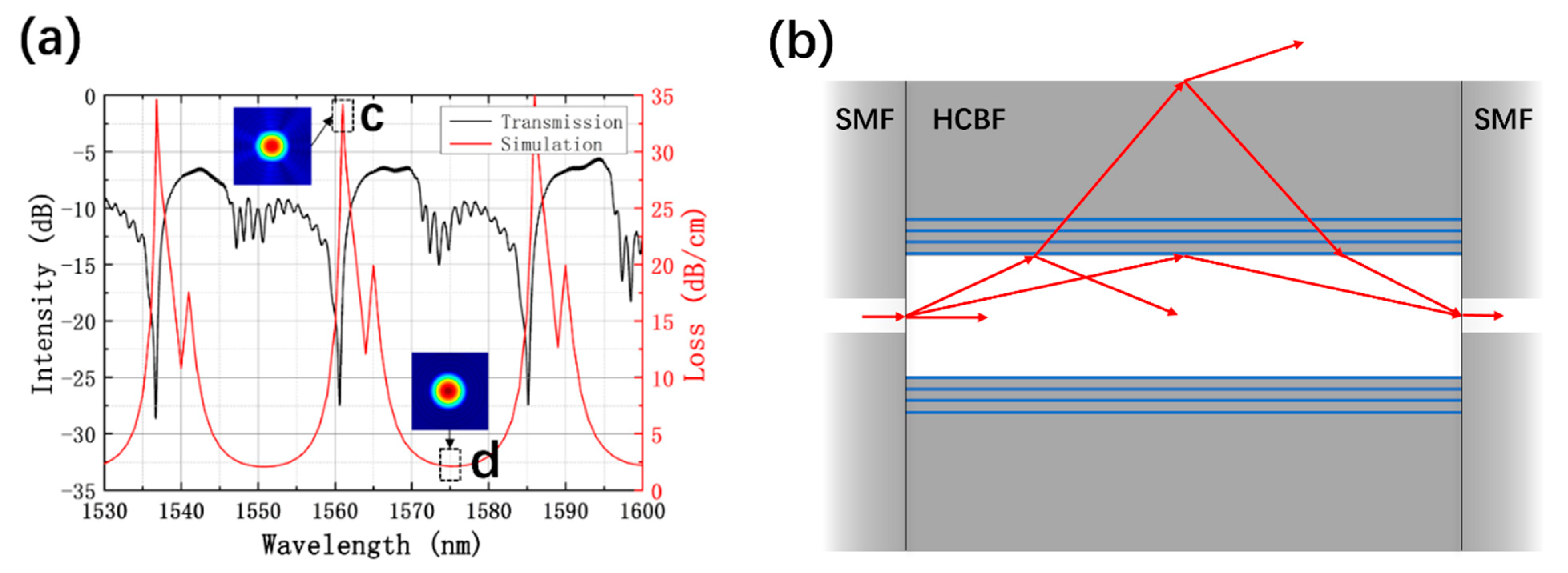 Sensors 21 07956 g003