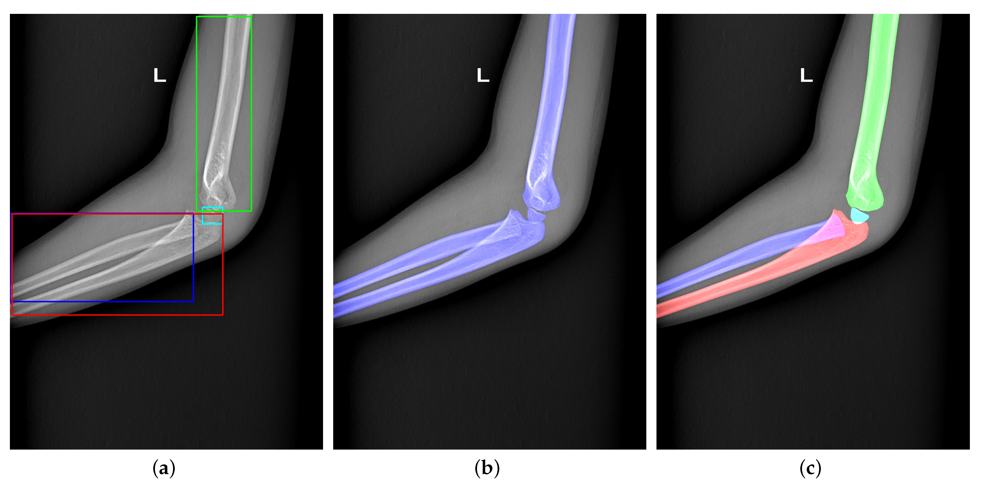 Sensors 21 07966 g002