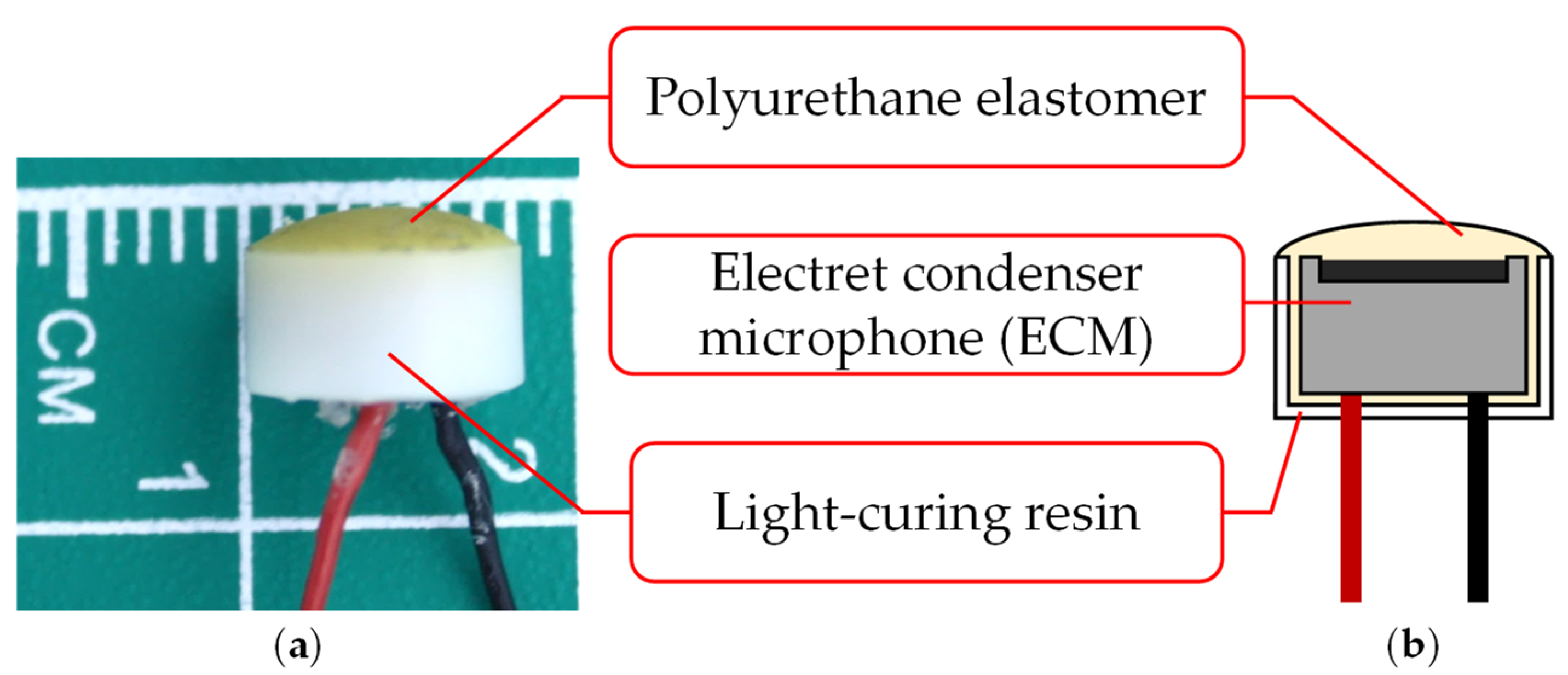 Sensors 21 07981 g002
